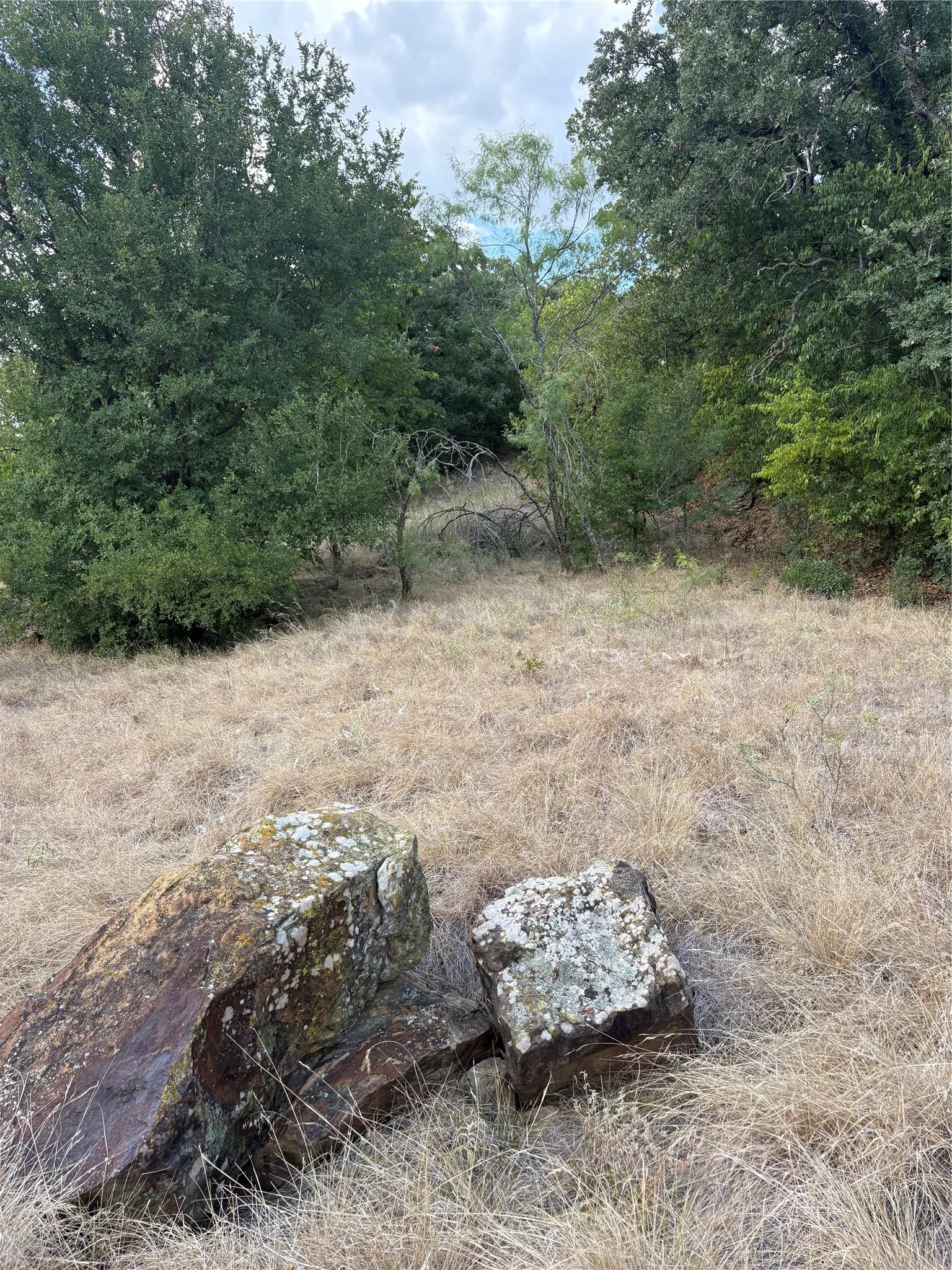 Unimproved Land For Sale in Jack County , 271 Wyatt Road, Jacksboro, Texas 76458, 0, 0, Garage spaces, 0 Sqft, built in 0, mls#21351939, Real Estate Agent in Jacksboro, Homes For Sale in Jack county, Homes For Sale in Jacksboro, Realtor in Jacksboro Texas, Real Estate Brokerage Independent Realty Texas, Luminita Cordes Realtor