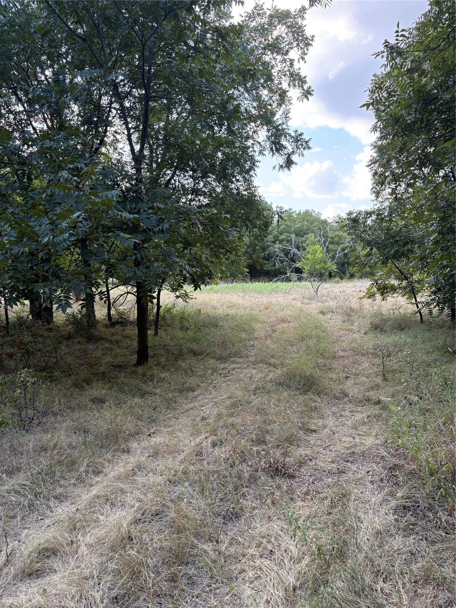 Unimproved Land For Sale in Jack County , 271 Wyatt Road, Jacksboro, Texas 76458, 0, 0, Garage spaces, 0 Sqft, built in 0, mls#21351939, Real Estate Agent in Jacksboro, Homes For Sale in Jack county, Homes For Sale in Jacksboro, Realtor in Jacksboro Texas, Real Estate Brokerage Independent Realty Texas, Luminita Cordes Realtor
