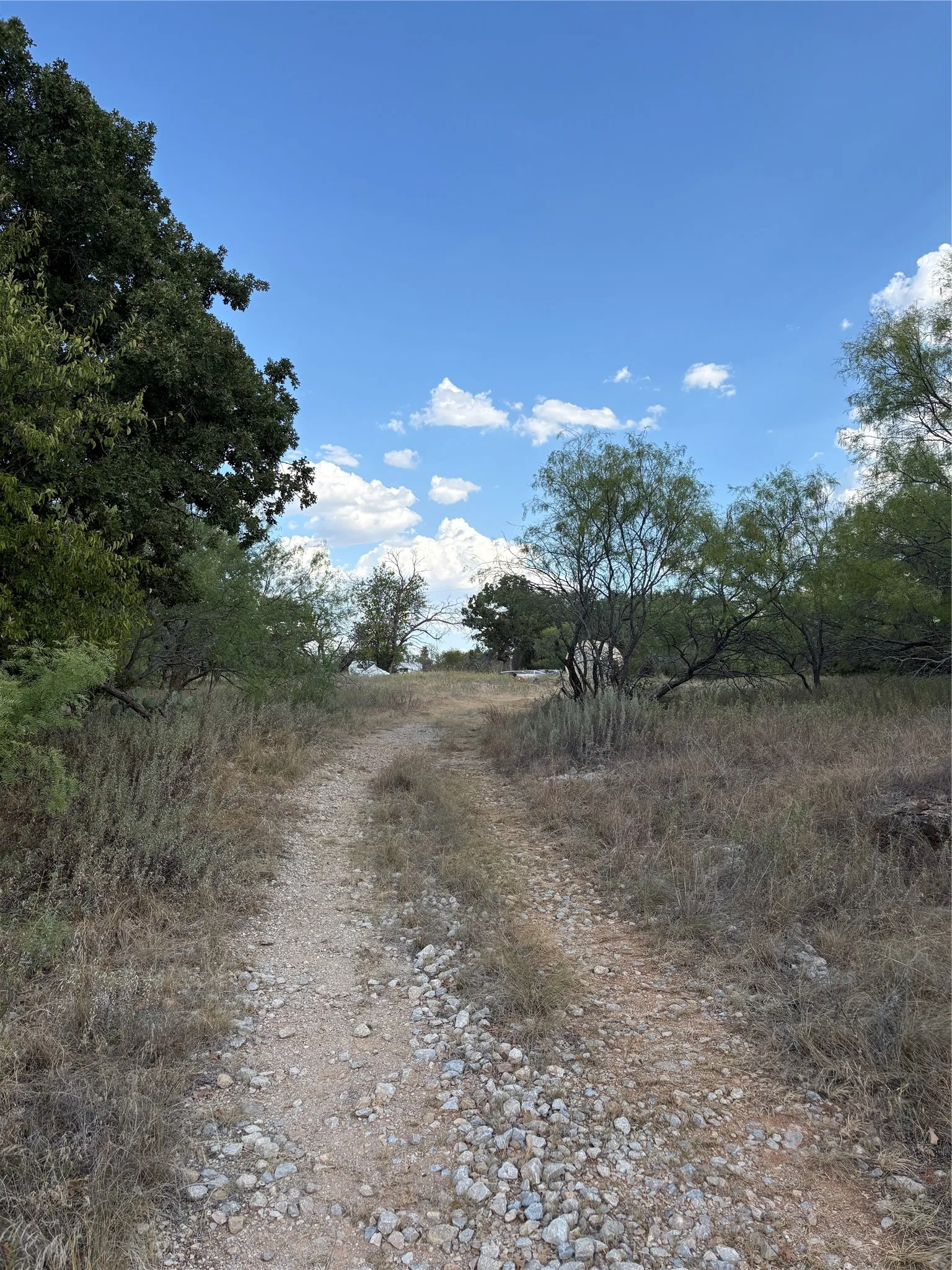 Unimproved Land For Sale in Jack County , 271 Wyatt Road, Jacksboro, Texas 76458, 0, 0, Garage spaces, 0 Sqft, built in 0, mls#21351939, Real Estate Agent in Jacksboro, Homes For Sale in Jack county, Homes For Sale in Jacksboro, Realtor in Jacksboro Texas, Real Estate Brokerage Independent Realty Texas, Luminita Cordes Realtor