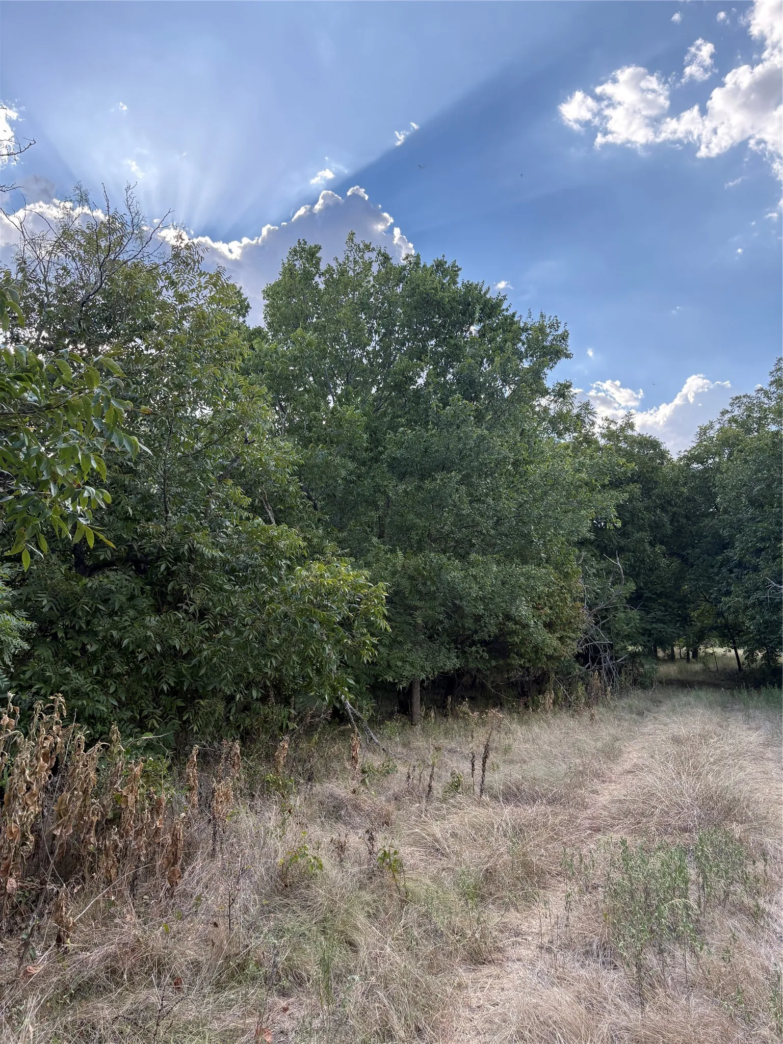 Unimproved Land For Sale in Jack County , 271 Wyatt Road, Jacksboro, Texas 76458, 0, 0, Garage spaces, 0 Sqft, built in 0, mls#21351939, Real Estate Agent in Jacksboro, Homes For Sale in Jack county, Homes For Sale in Jacksboro, Realtor in Jacksboro Texas, Real Estate Brokerage Independent Realty Texas, Luminita Cordes Realtor