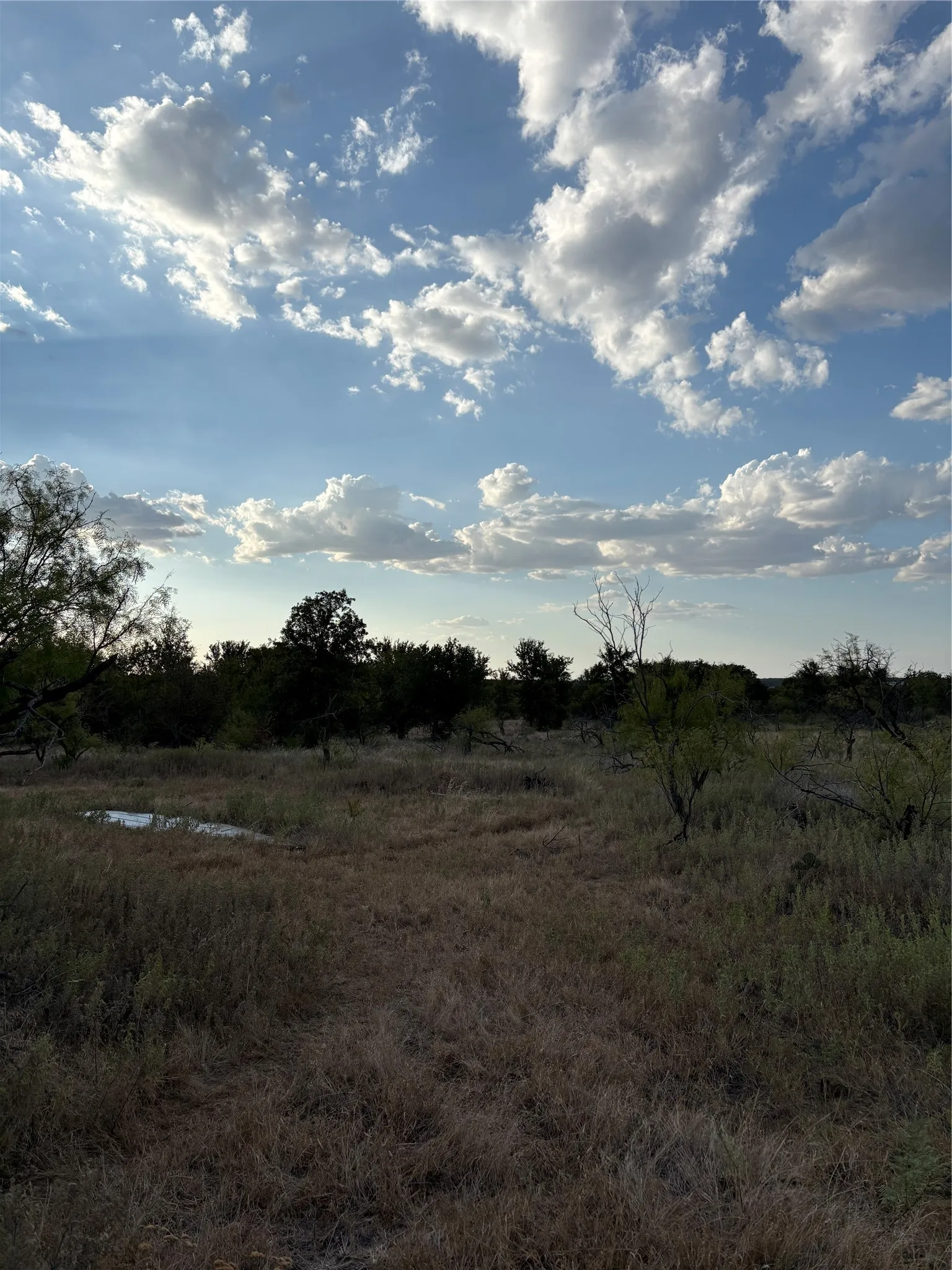 Expansive open land featuring diverse foliage and a natural water feature