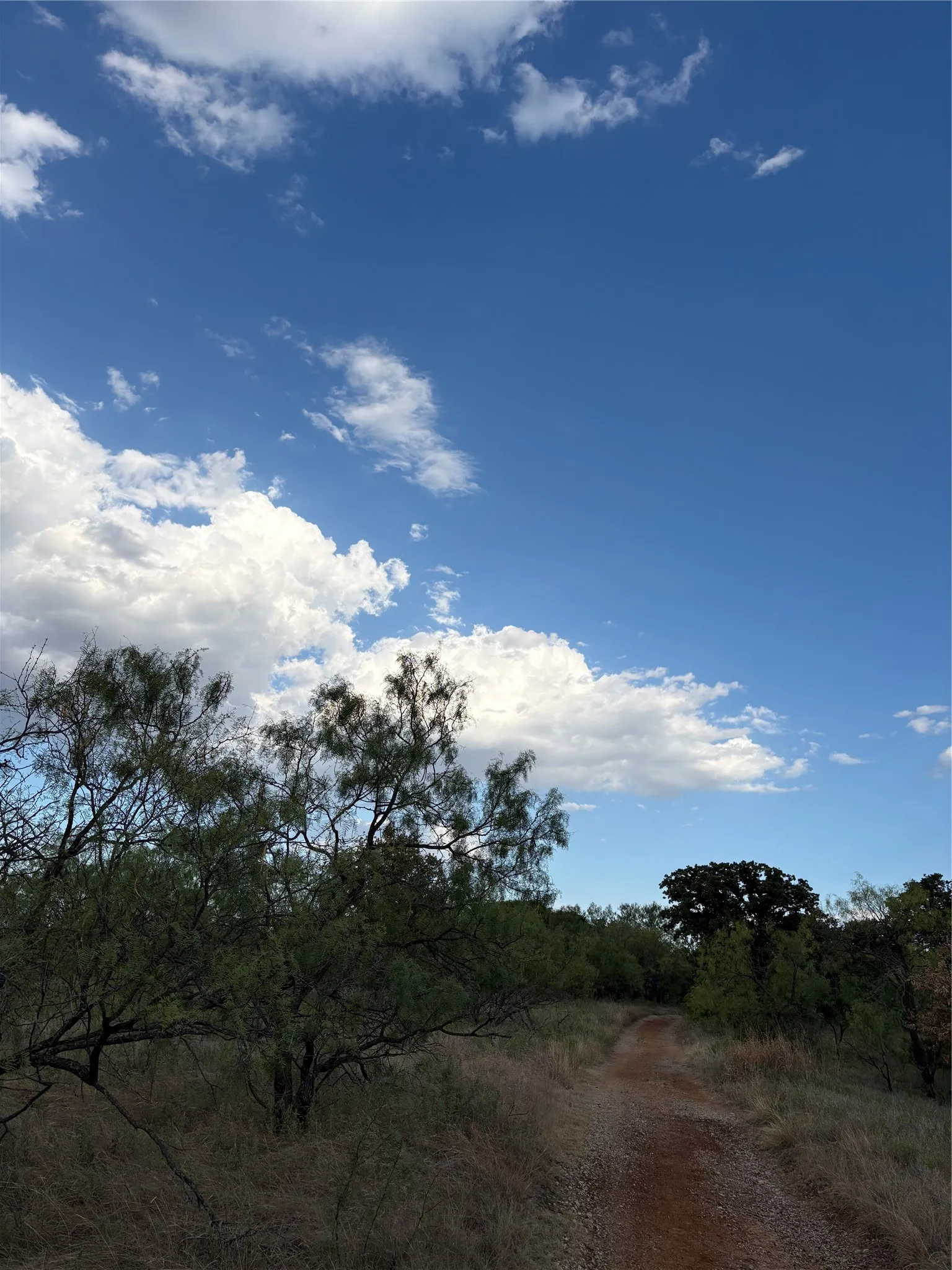 Unimproved Land For Sale in Jack County , 271 Wyatt Road, Jacksboro, Texas 76458, 0, 0, Garage spaces, 0 Sqft, built in 0, mls#21351939, Real Estate Agent in Jacksboro, Homes For Sale in Jack county, Homes For Sale in Jacksboro, Realtor in Jacksboro Texas, Real Estate Brokerage Independent Realty Texas, Luminita Cordes Realtor