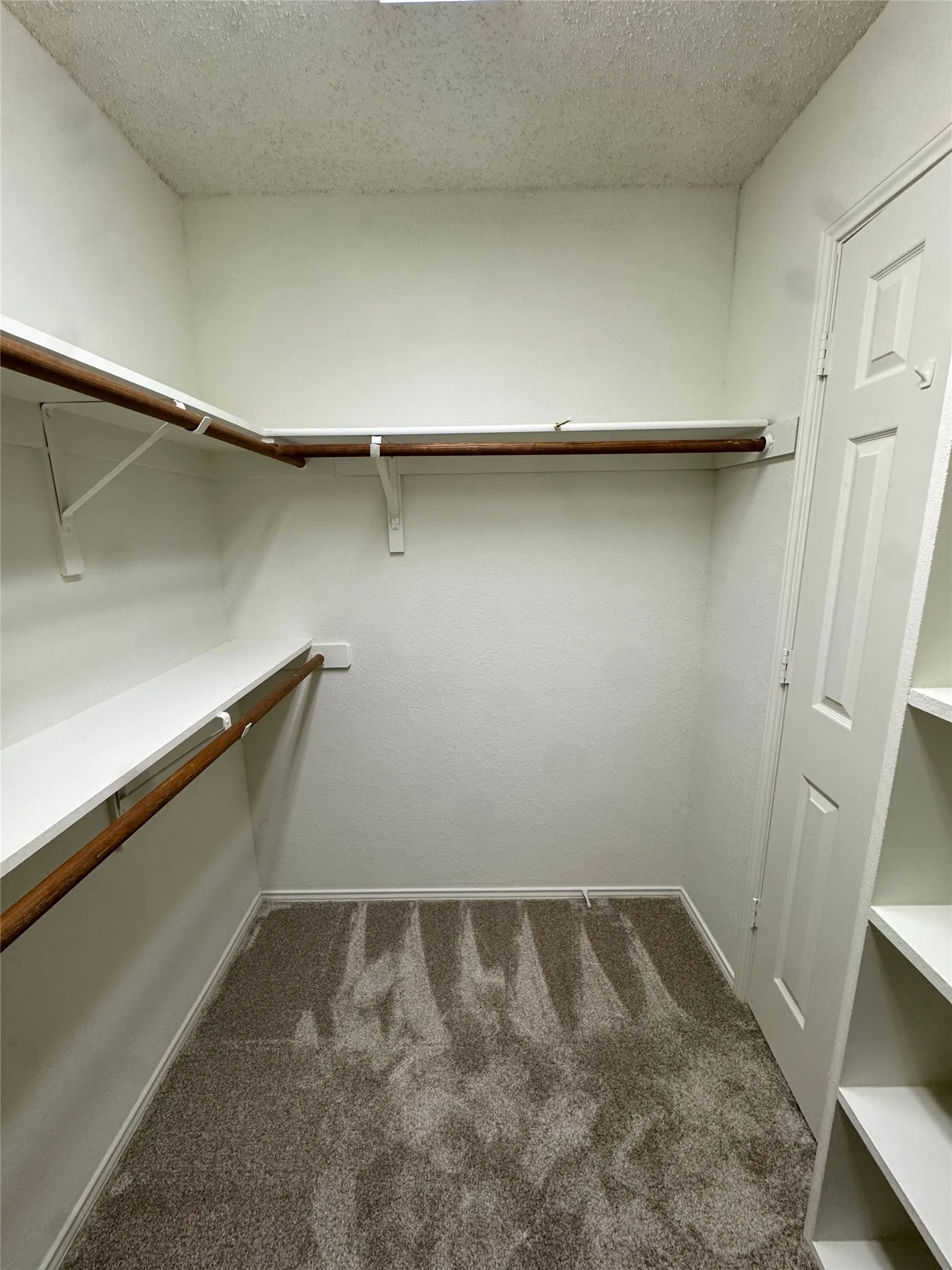 Walk-in closet with carpet flooring, built-in shelving, and hanging rods