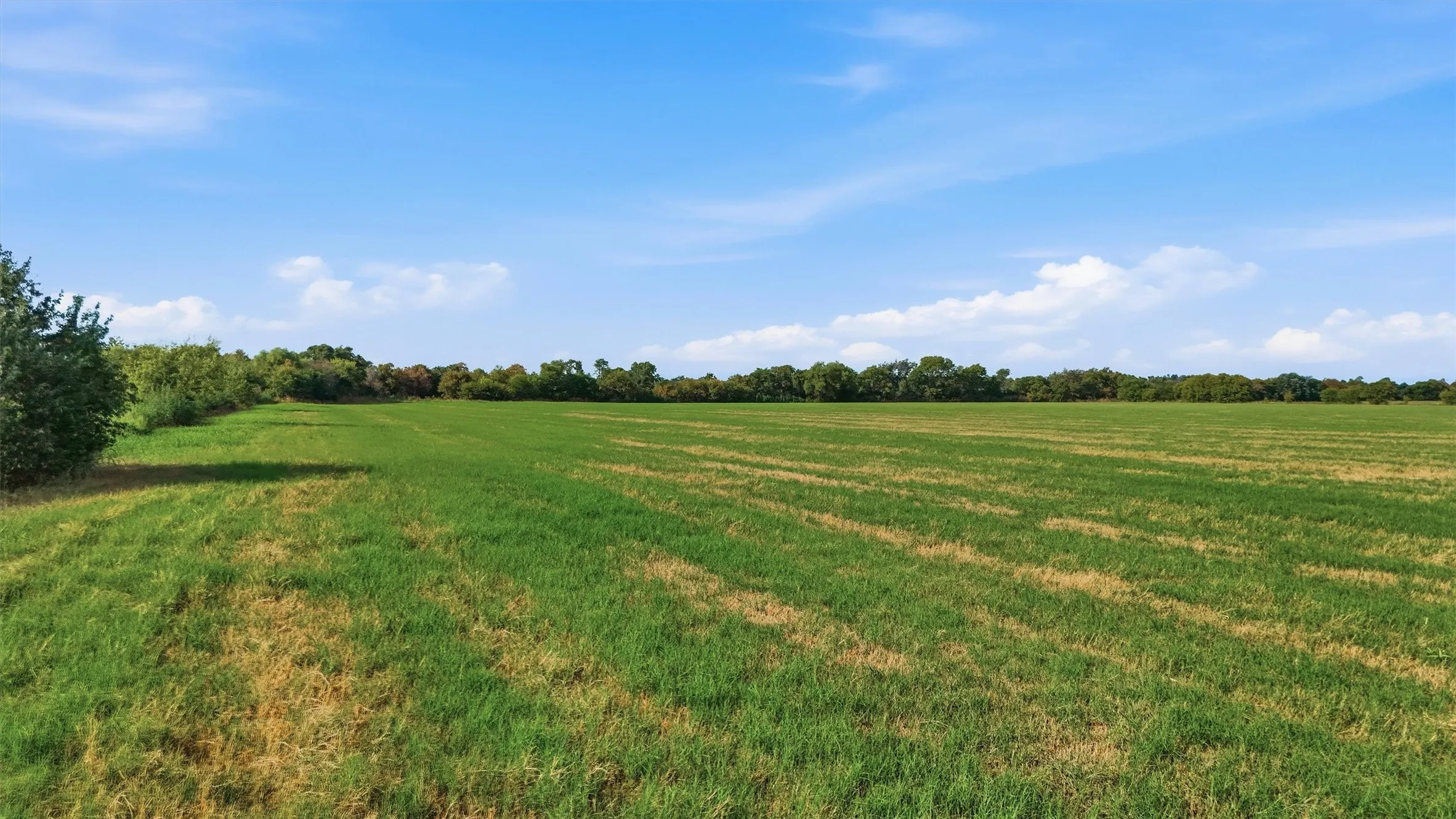 Improved Land For Sale in Grayson County , TBD Stiles Road, Whitesboro, Texas 76273, 0, 0, Garage spaces, 0 Sqft, built in 0, mls#21365986, Real Estate Agent in Whitesboro, Homes For Sale in Grayson county, Homes For Sale in Whitesboro, Realtor in Whitesboro Texas, Real Estate Brokerage Independent Realty Texas, Luminita Cordes Realtor