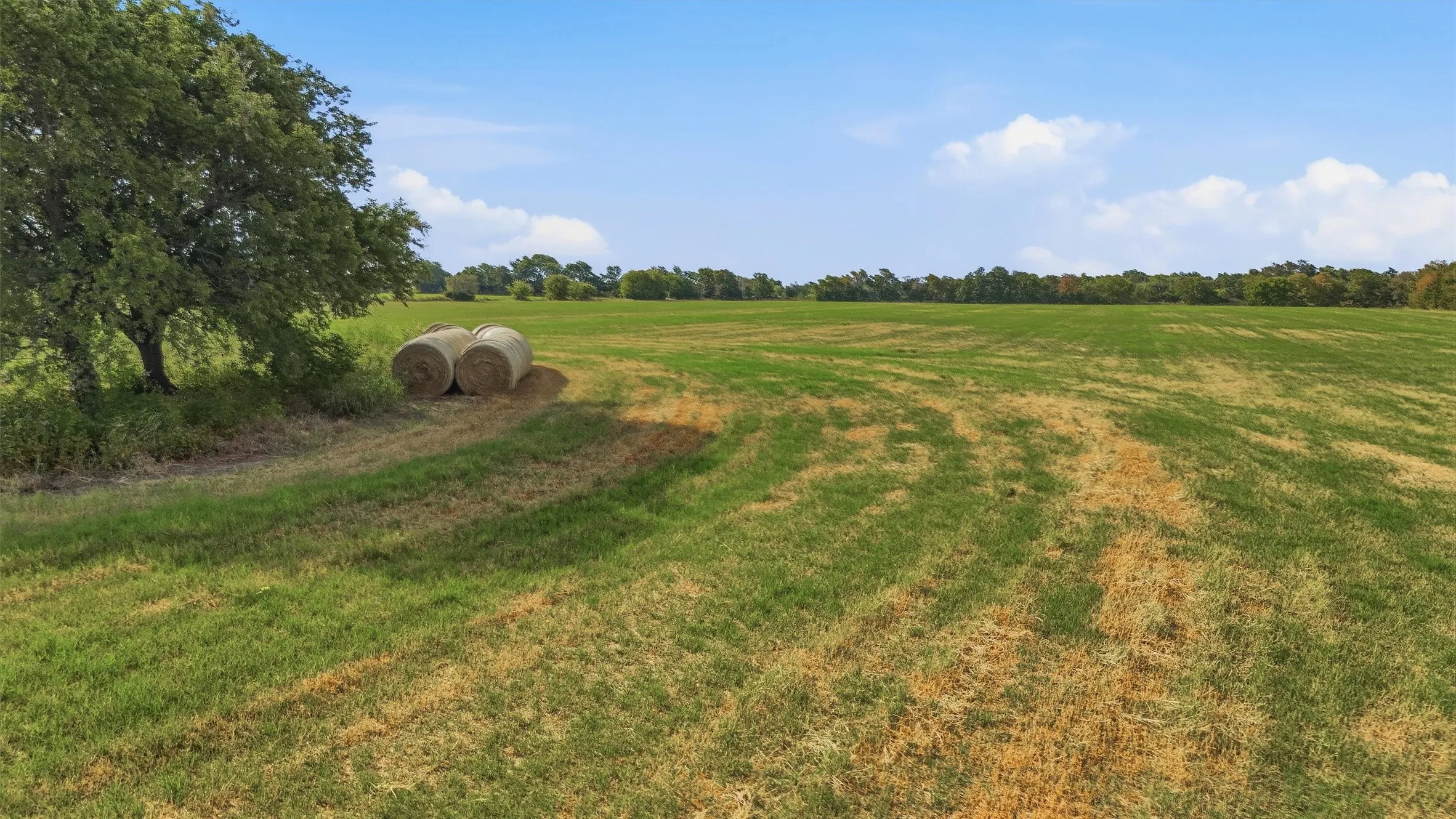 Improved Land For Sale in Grayson County , TBD Stiles Road, Whitesboro, Texas 76273, 0, 0, Garage spaces, 0 Sqft, built in 0, mls#21365986, Real Estate Agent in Whitesboro, Homes For Sale in Grayson county, Homes For Sale in Whitesboro, Realtor in Whitesboro Texas, Real Estate Brokerage Independent Realty Texas, Luminita Cordes Realtor