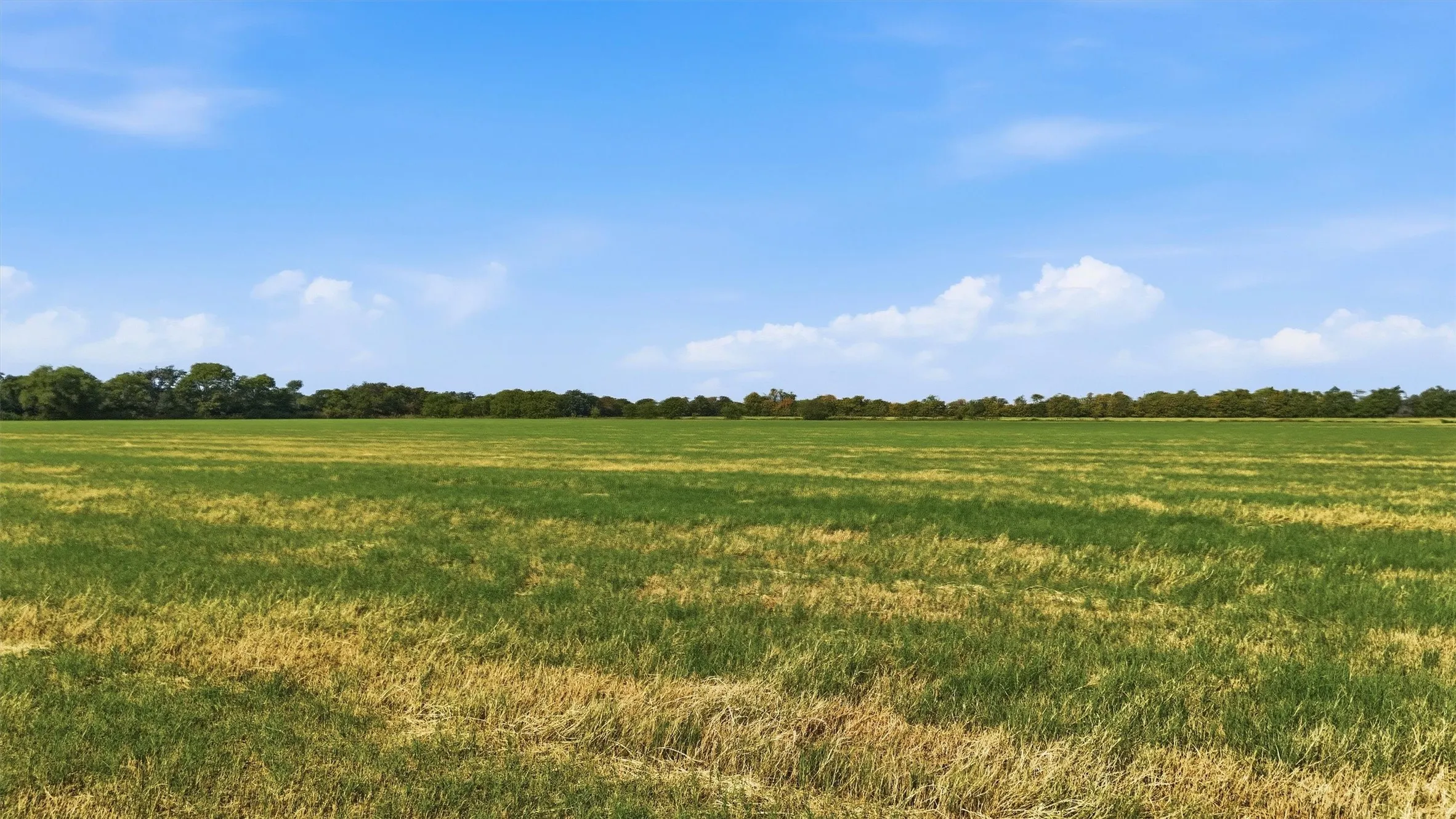 Improved Land For Sale in Grayson County , TBD Stiles Road, Whitesboro, Texas 76273, 0, 0, Garage spaces, 0 Sqft, built in 0, mls#21365986, Real Estate Agent in Whitesboro, Homes For Sale in Grayson county, Homes For Sale in Whitesboro, Realtor in Whitesboro Texas, Real Estate Brokerage Independent Realty Texas, Luminita Cordes Realtor