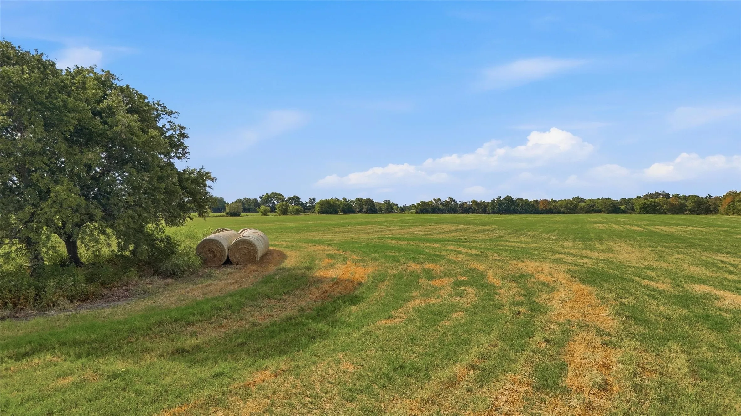 Improved Land For Sale in Grayson County , TBD Stiles Road, Whitesboro, Texas 76273, 0, 0, Garage spaces, 0 Sqft, built in 0, mls#21365986, Real Estate Agent in Whitesboro, Homes For Sale in Grayson county, Homes For Sale in Whitesboro, Realtor in Whitesboro Texas, Real Estate Brokerage Independent Realty Texas, Luminita Cordes Realtor