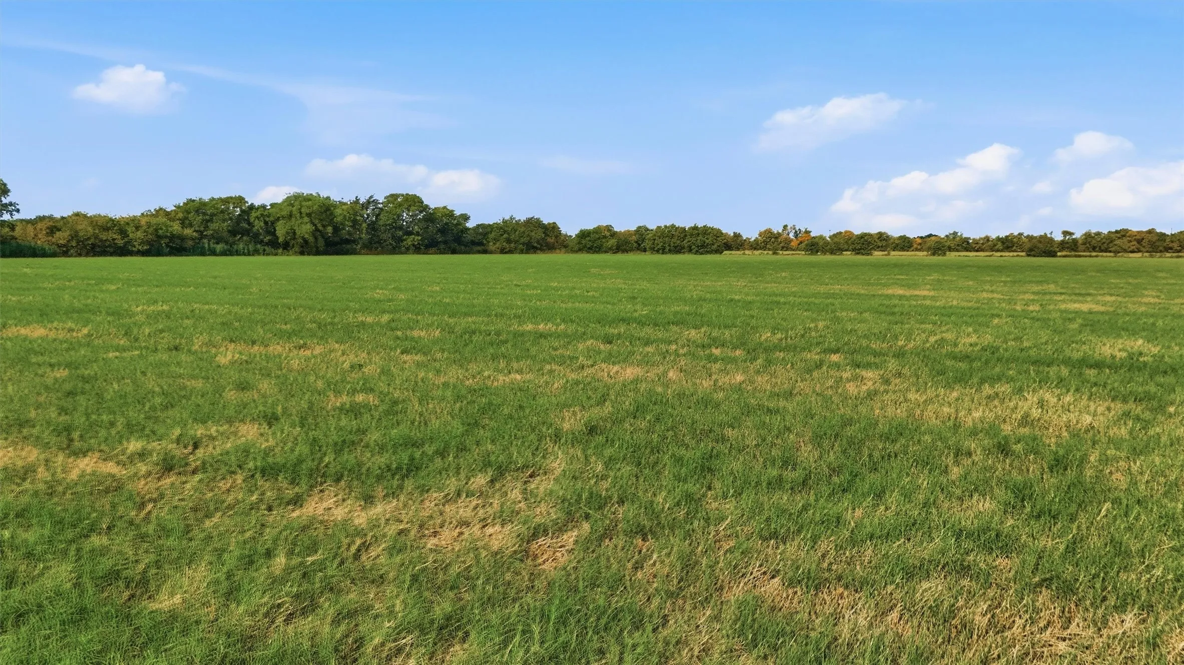 Improved Land For Sale in Grayson County , TBD Stiles Road, Whitesboro, Texas 76273, 0, 0, Garage spaces, 0 Sqft, built in 0, mls#21365986, Real Estate Agent in Whitesboro, Homes For Sale in Grayson county, Homes For Sale in Whitesboro, Realtor in Whitesboro Texas, Real Estate Brokerage Independent Realty Texas, Luminita Cordes Realtor