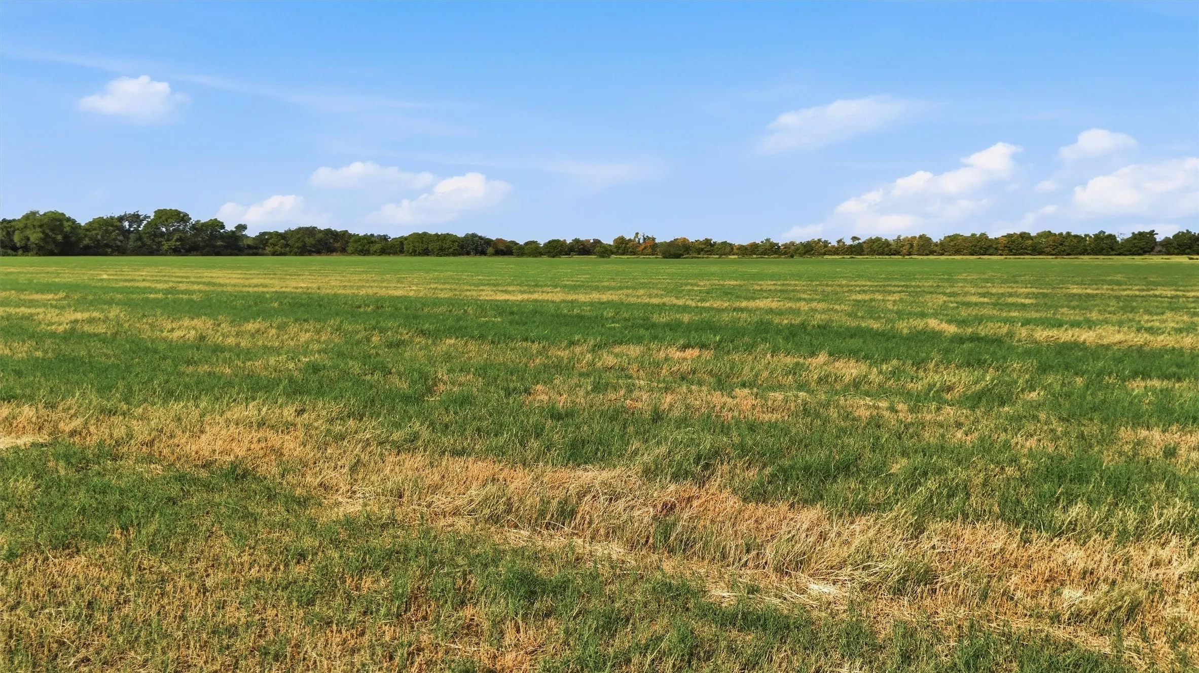 Improved Land For Sale in Grayson County , TBD Stiles Road, Whitesboro, Texas 76273, 0, 0, Garage spaces, 0 Sqft, built in 0, mls#21365986, Real Estate Agent in Whitesboro, Homes For Sale in Grayson county, Homes For Sale in Whitesboro, Realtor in Whitesboro Texas, Real Estate Brokerage Independent Realty Texas, Luminita Cordes Realtor