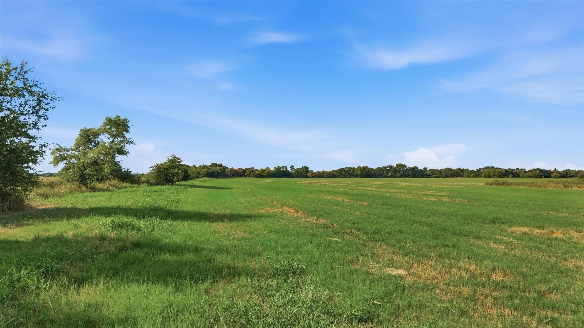 Improved Land For Sale in Grayson County , TBD Stiles Road, Whitesboro, Texas 76273, 0, 0, Garage spaces, 0 Sqft, built in 0, mls#21365986, Real Estate Agent in Whitesboro, Homes For Sale in Grayson county, Homes For Sale in Whitesboro, Realtor in Whitesboro Texas, Real Estate Brokerage Independent Realty Texas, Luminita Cordes Realtor