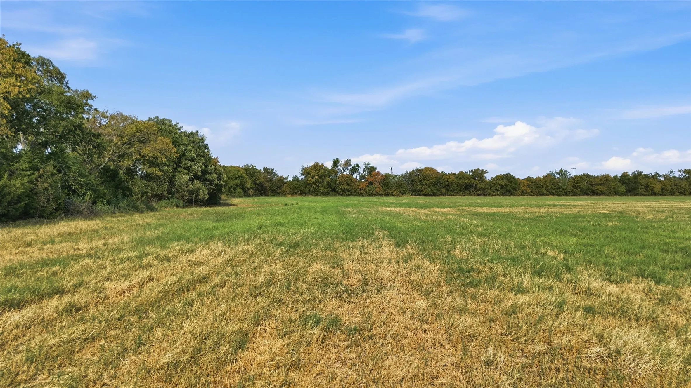 Improved Land For Sale in Grayson County , TBD Stiles Road, Whitesboro, Texas 76273, 0, 0, Garage spaces, 0 Sqft, built in 0, mls#21365986, Real Estate Agent in Whitesboro, Homes For Sale in Grayson county, Homes For Sale in Whitesboro, Realtor in Whitesboro Texas, Real Estate Brokerage Independent Realty Texas, Luminita Cordes Realtor