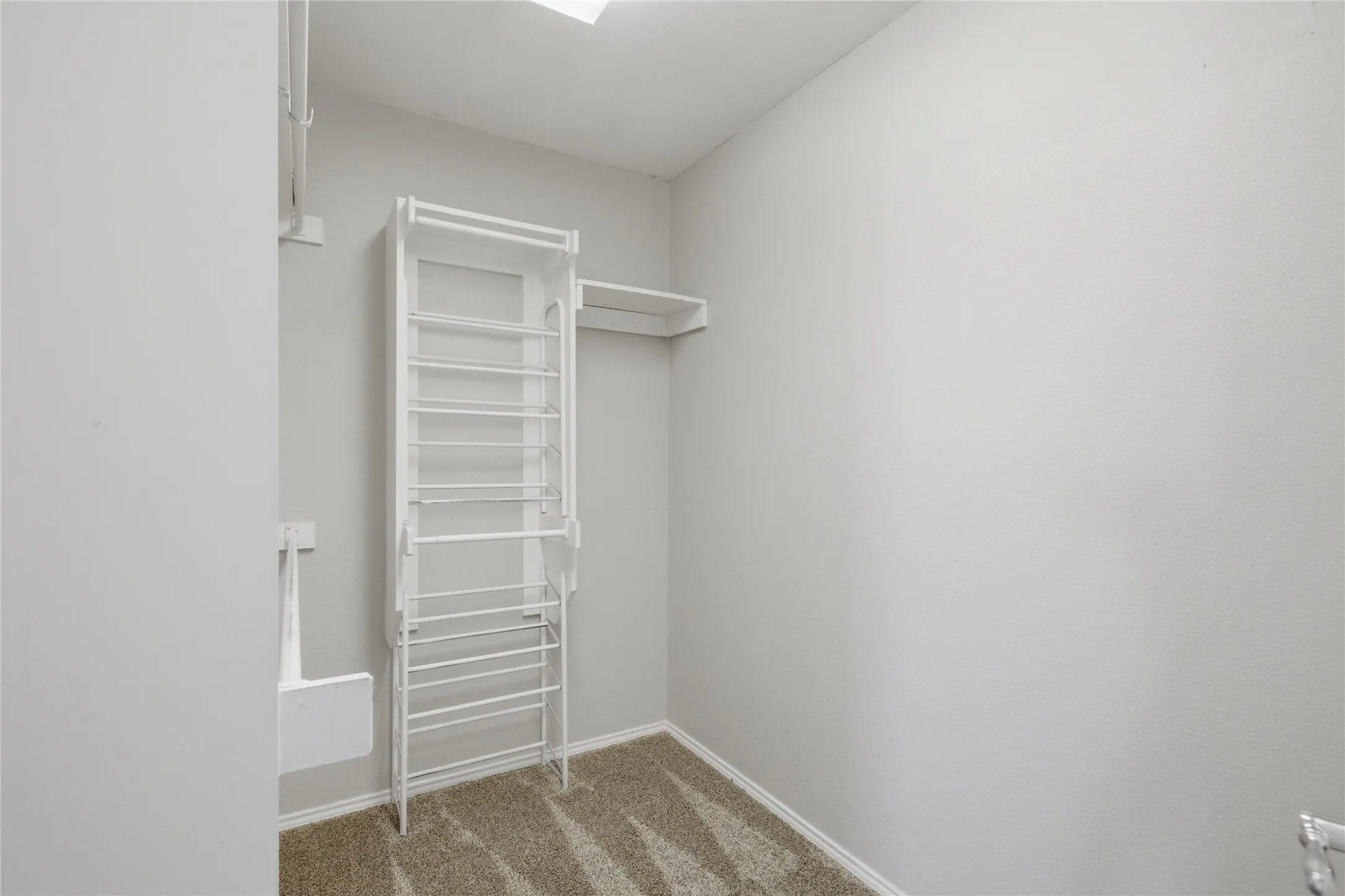 Walk-in closet featuring built-in shelving, hanging rods, and carpet flooring