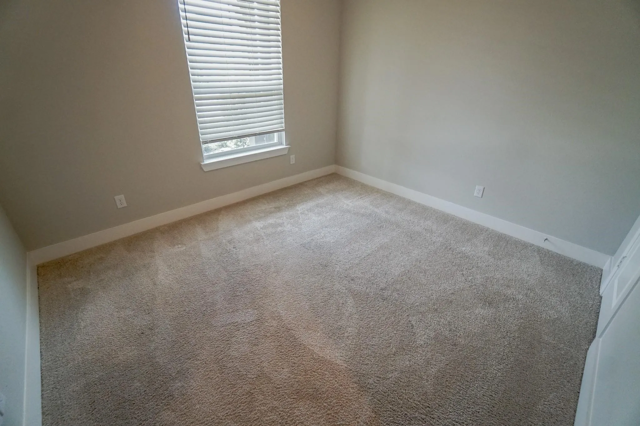 Plush carpet flooring, neutral wall tones, white trim, and a window with horizontal blinds