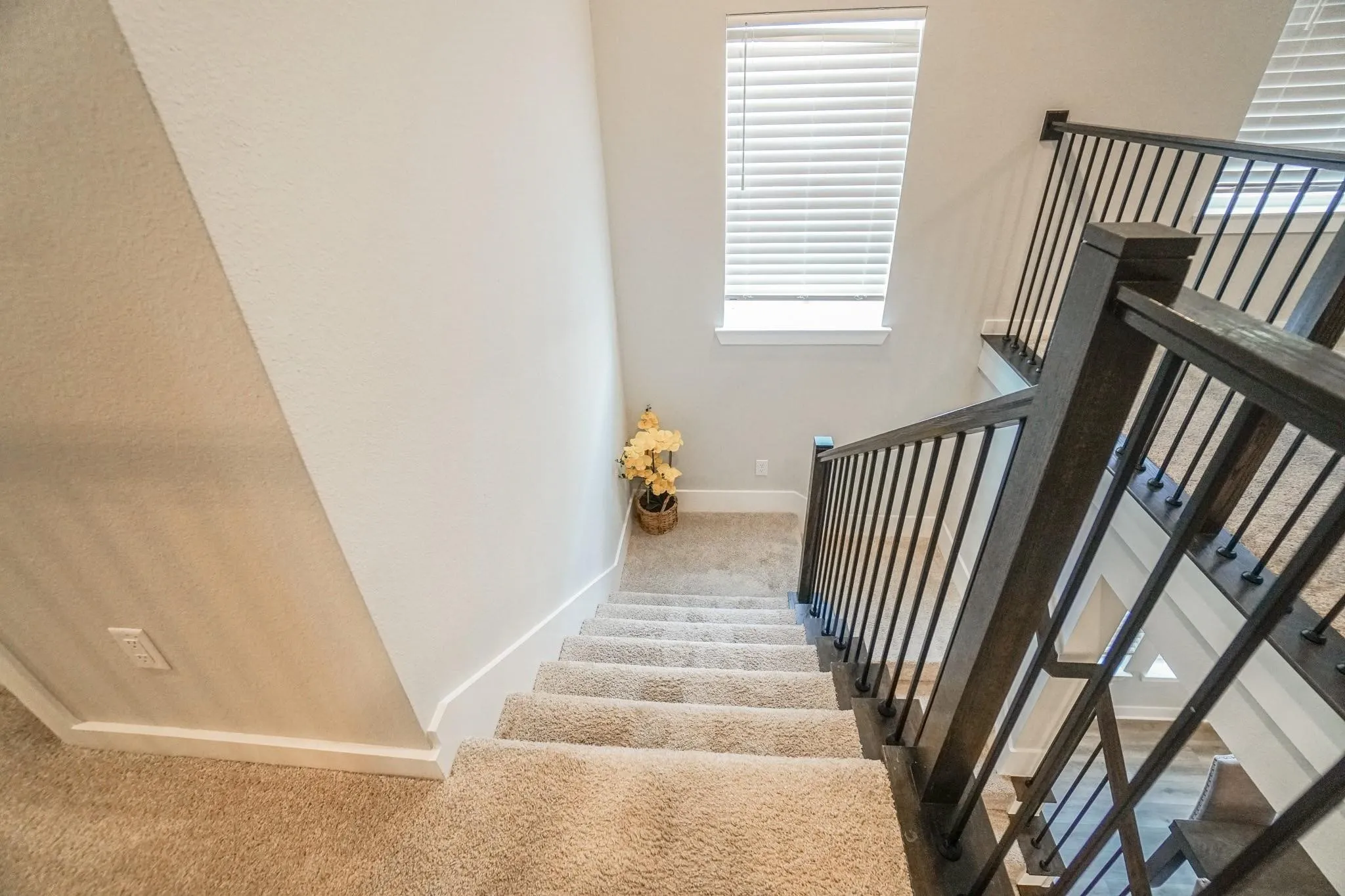 Staircase with carpeted treads, wood newel posts, and black metal​​‌​​​​‌​​‌‌​‌‌​​​‌‌​‌​‌​‌​​​‌​​ balusters