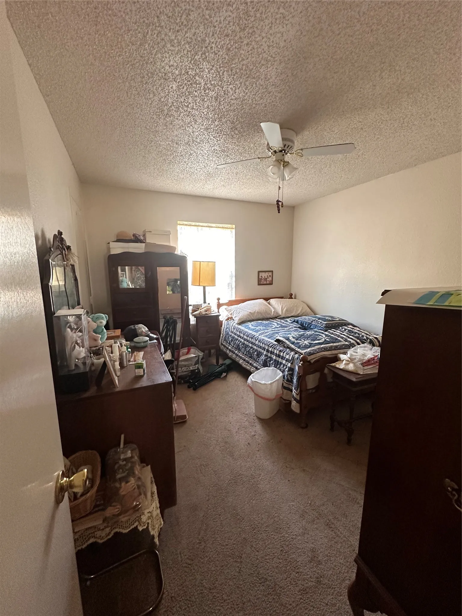 Home - Ceiling fan