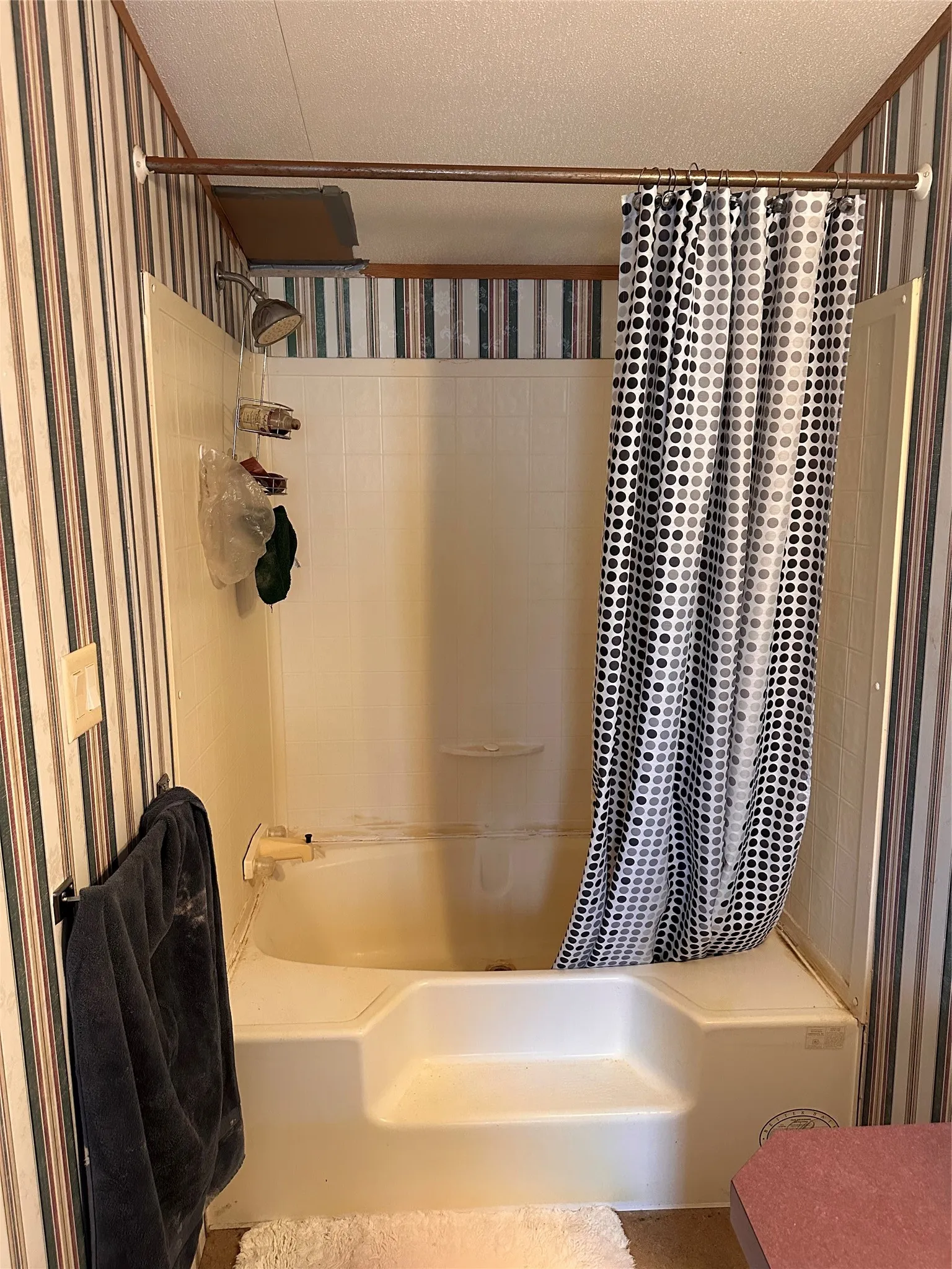 Bathtub with integrated shower, wall-mounted shower head