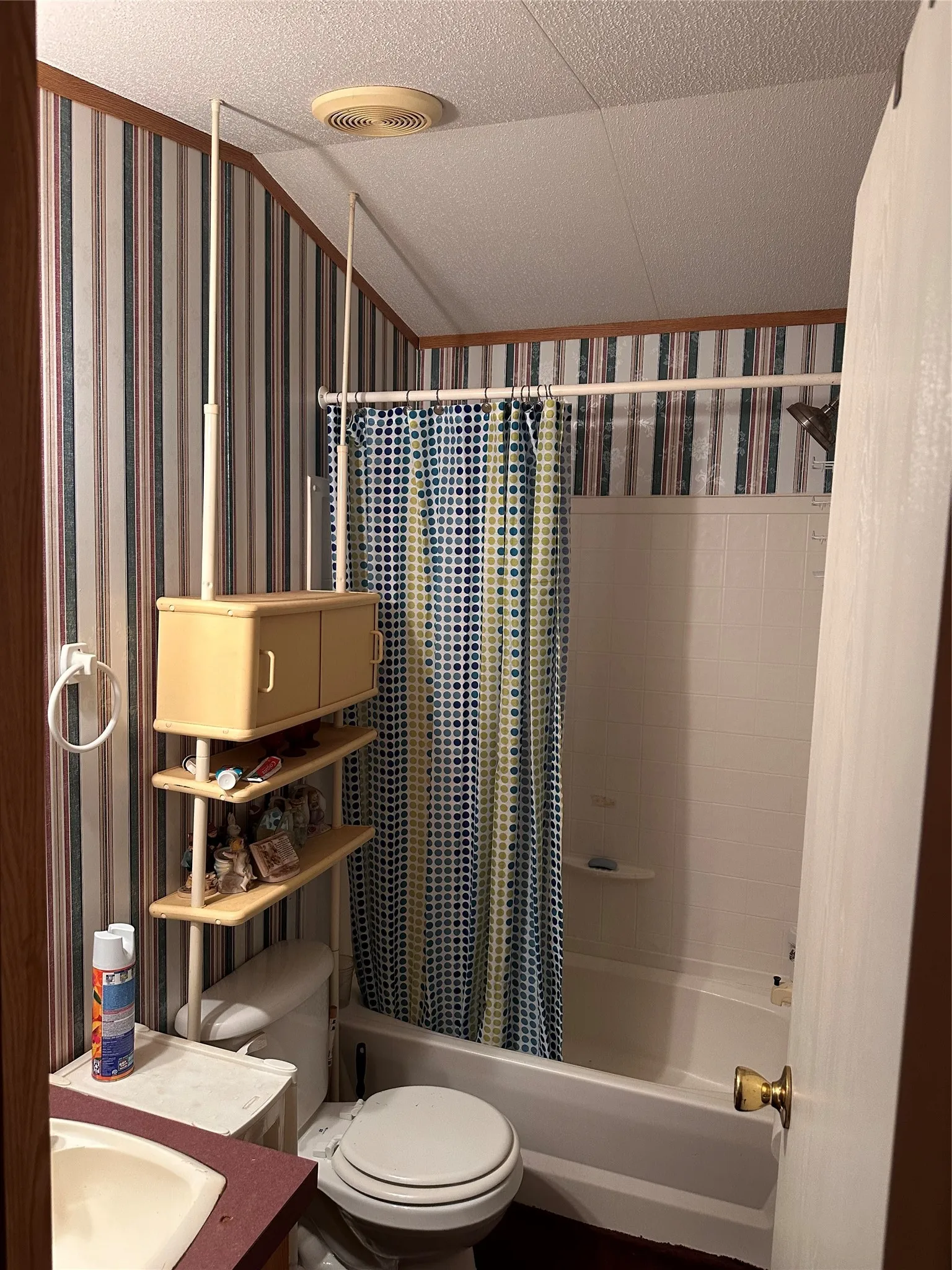 Mobile Home Hall bath