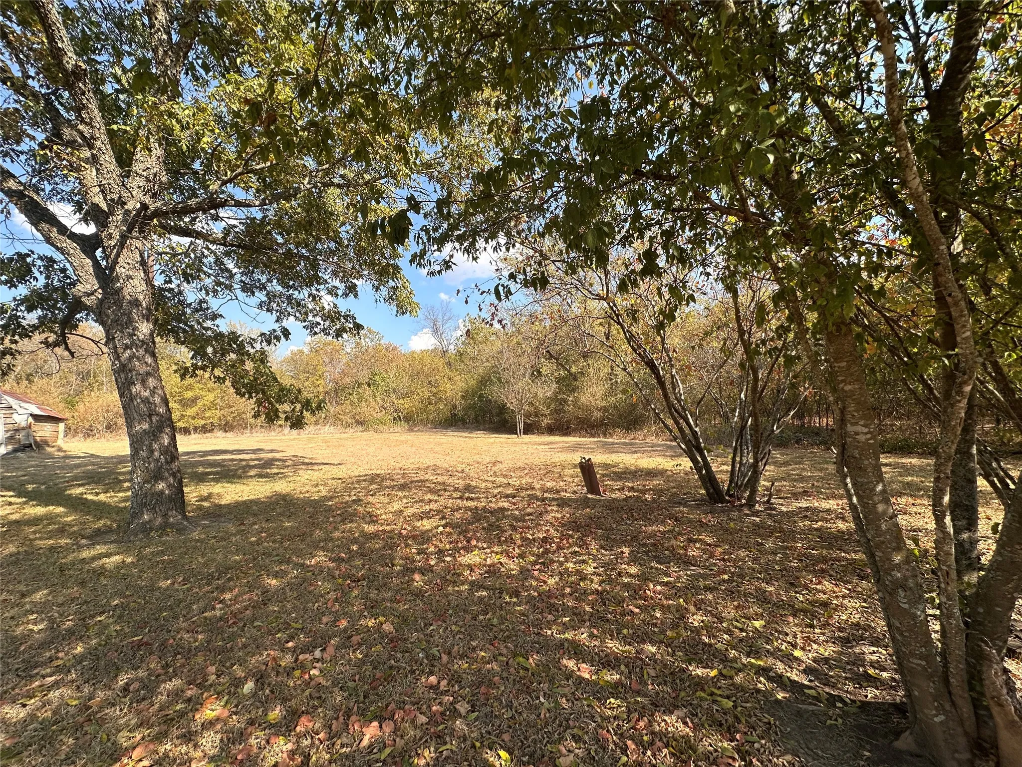 Extra Lot with Water hydrant, Established trees and a distant rustic outbuilding