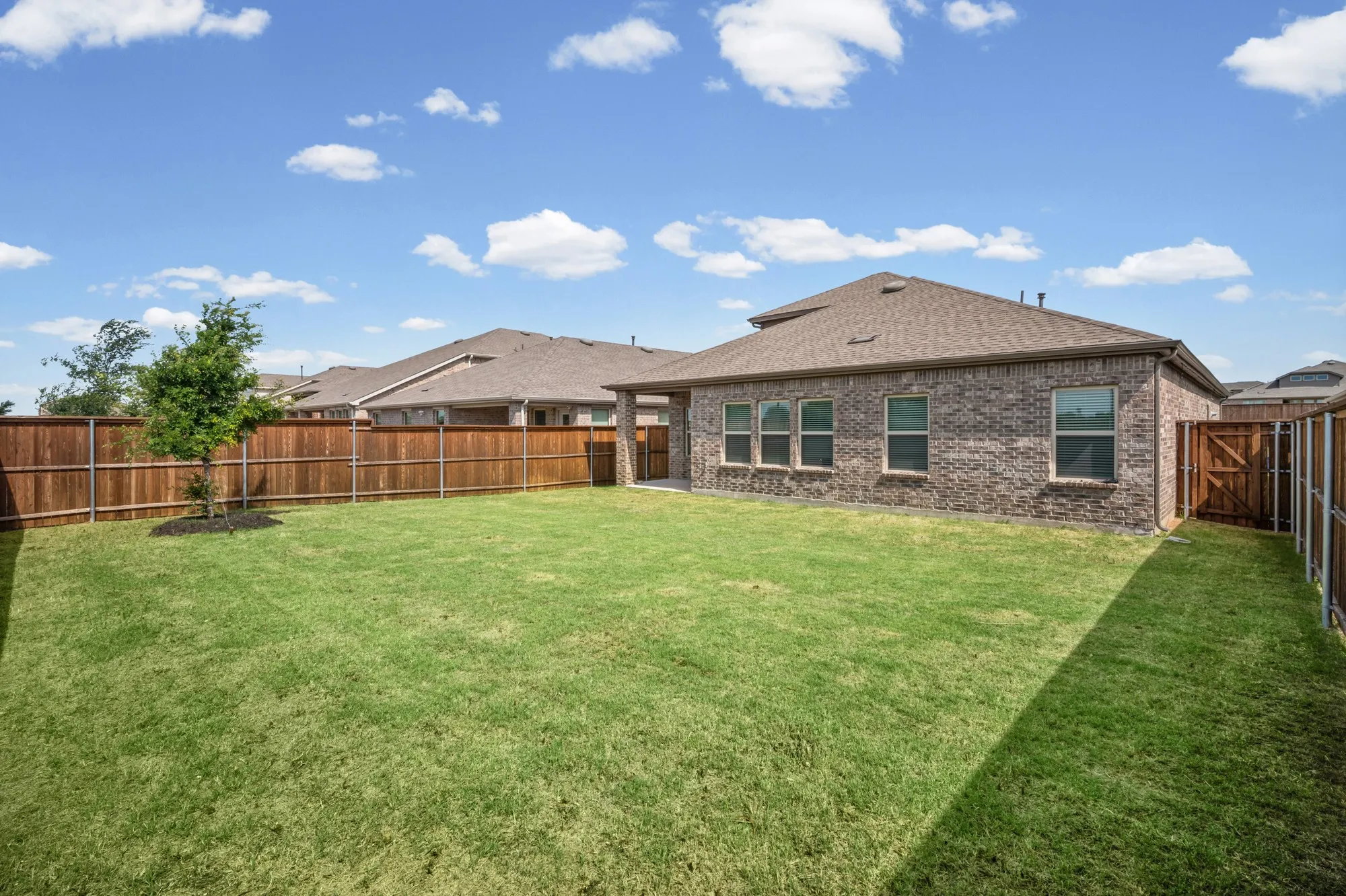 Expansive green lawn with a newly planted tree, bordered by a wooden privacy fence, and featuring a brick exterior with multiple windows