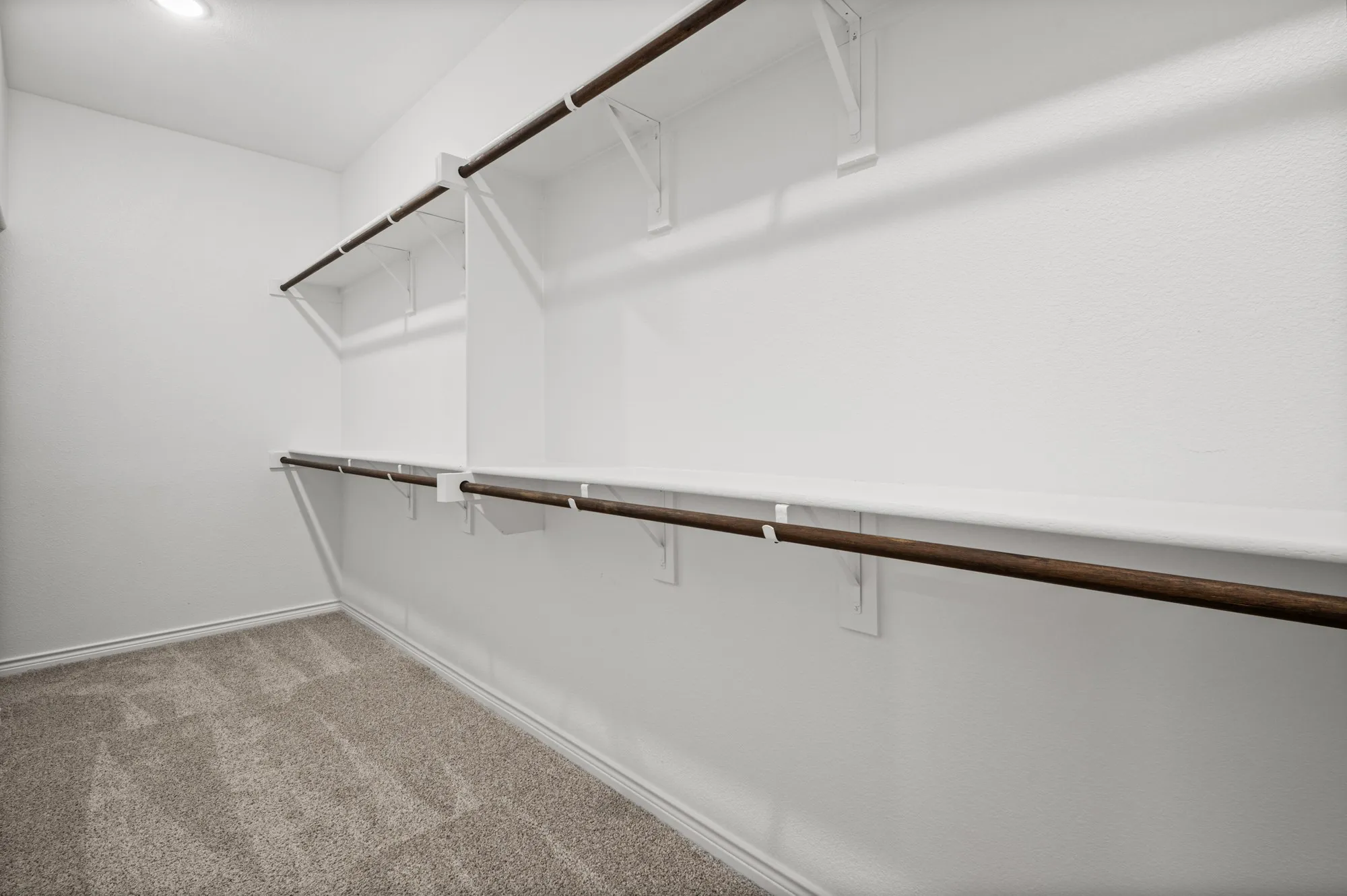 Walk-in closet featuring carpet flooring, built-in shelving, and clothes rods