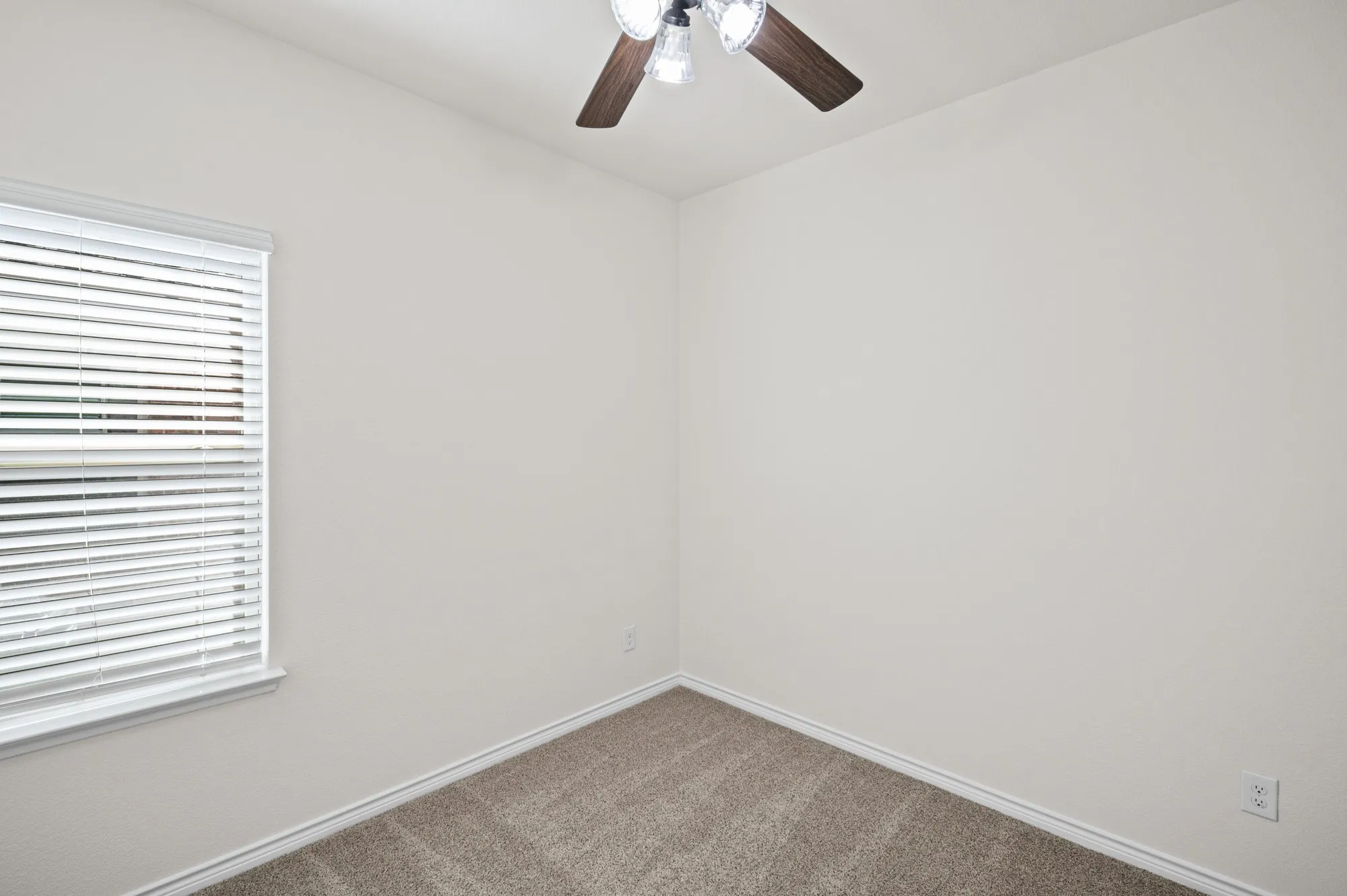 Wall-to-wall carpeting, window with blinds, and a ceiling fan with light fixture