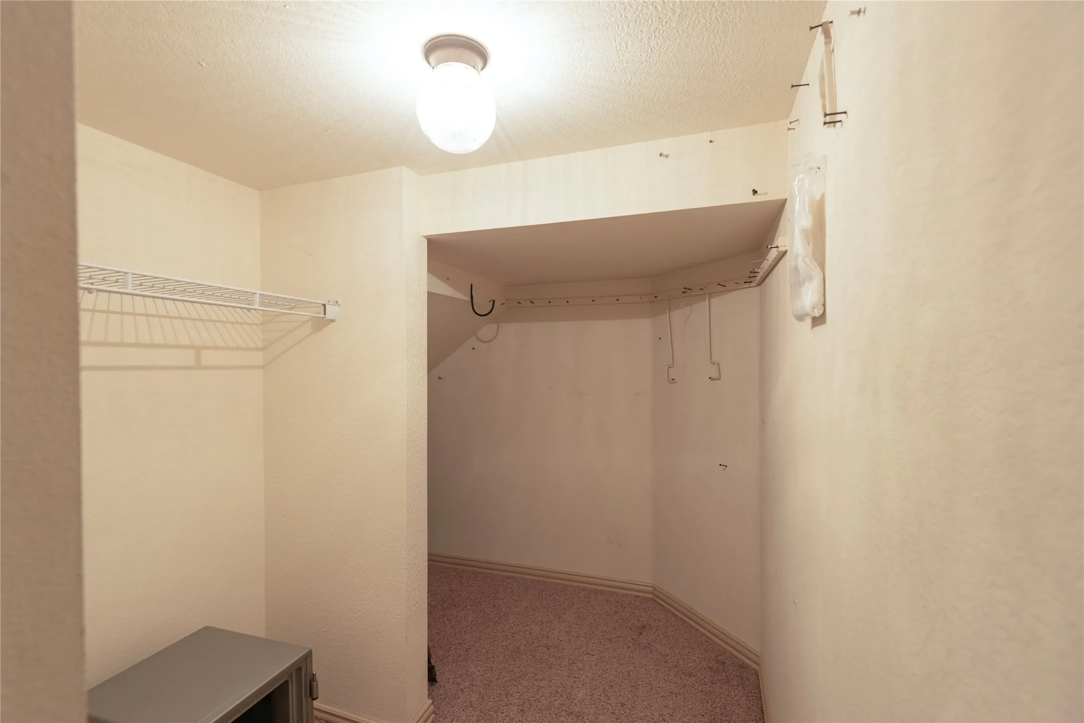 Under the staircase storage closet