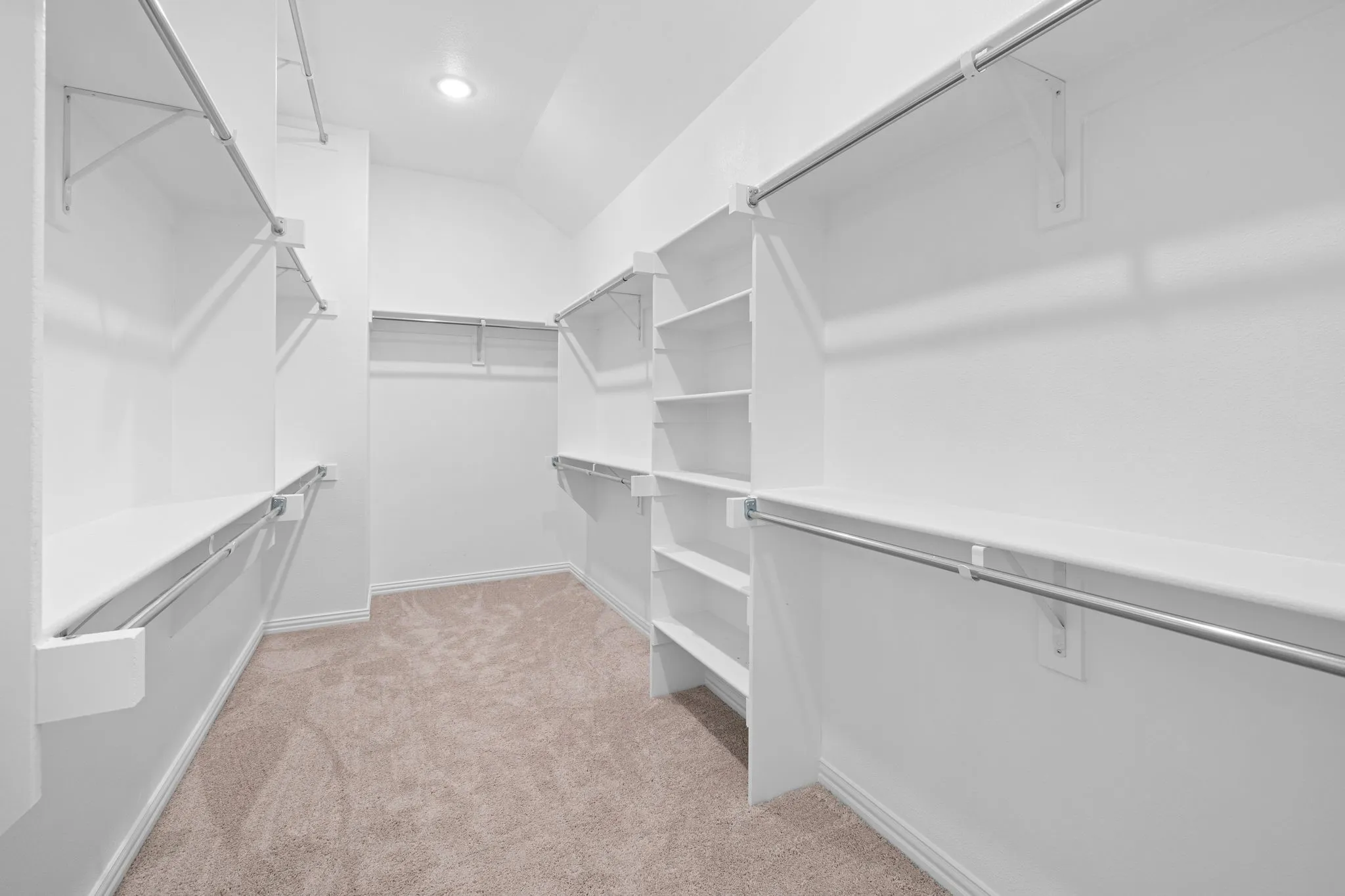 Walk-in closet with beige carpeting, multiple shelving units, and extensive hanging rods
