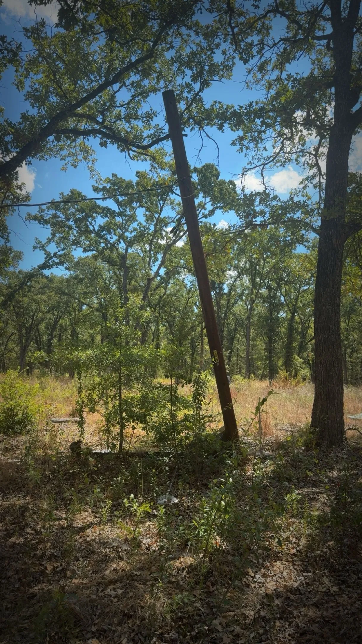 Improved Land For Sale in Kaufman County , 0000 R And R, Kemp, Texas 75143, 0, 0, Garage spaces, 0 Sqft, built in 0, mls#21375708, Real Estate Agent in Kemp, Homes For Sale in Kaufman county, Homes For Sale in Kemp, Realtor in Kemp Texas, Real Estate Brokerage Independent Realty Texas, Luminita Cordes Realtor