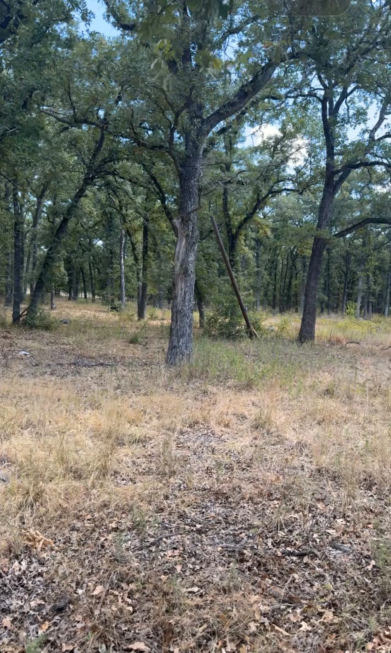 Improved Land For Sale in Kaufman County , 0000 R And R, Kemp, Texas 75143, 0, 0, Garage spaces, 0 Sqft, built in 0, mls#21375708, Real Estate Agent in Kemp, Homes For Sale in Kaufman county, Homes For Sale in Kemp, Realtor in Kemp Texas, Real Estate Brokerage Independent Realty Texas, Luminita Cordes Realtor