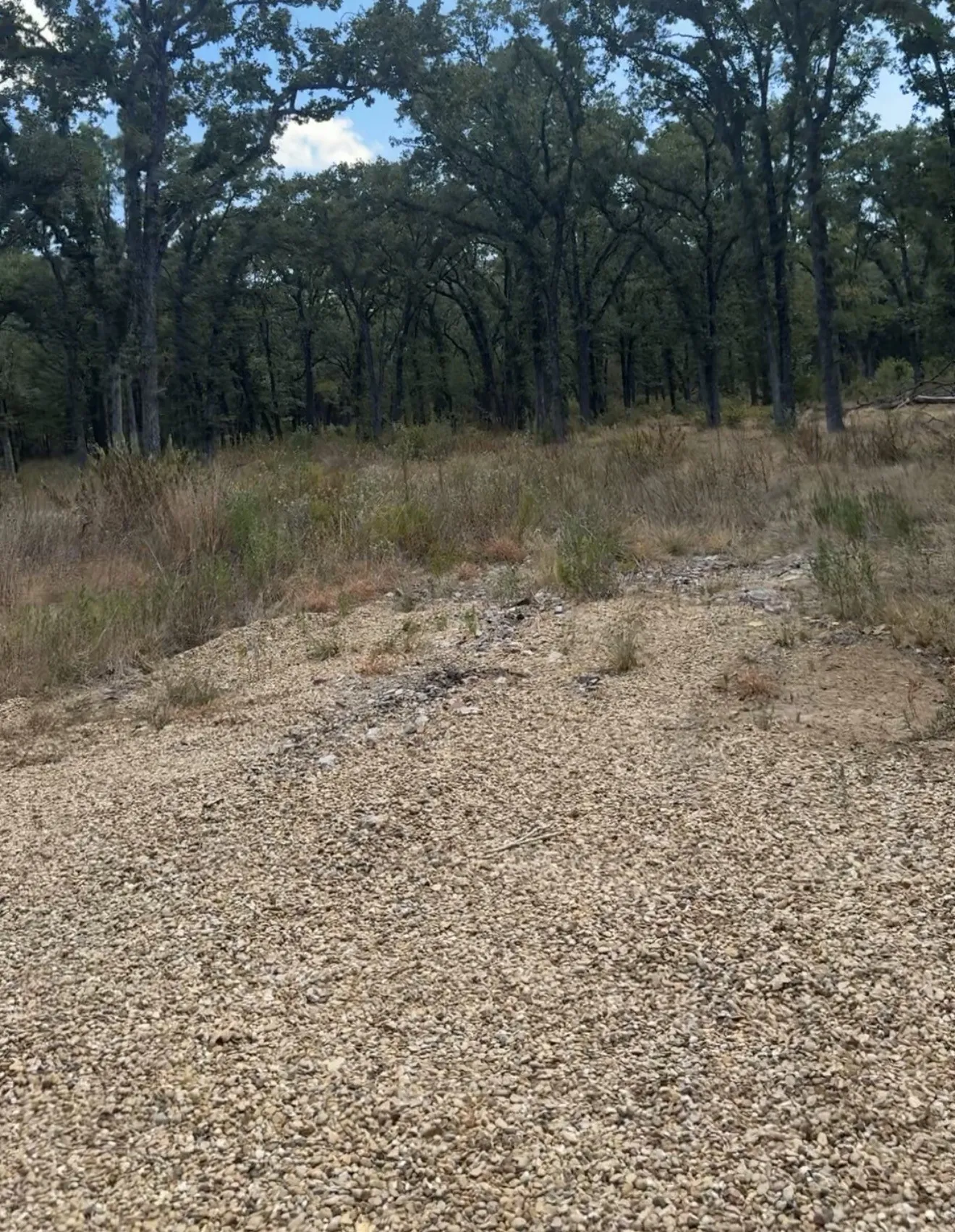 Improved Land For Sale in Kaufman County , 0000 R And R, Kemp, Texas 75143, 0, 0, Garage spaces, 0 Sqft, built in 0, mls#21375708, Real Estate Agent in Kemp, Homes For Sale in Kaufman county, Homes For Sale in Kemp, Realtor in Kemp Texas, Real Estate Brokerage Independent Realty Texas, Luminita Cordes Realtor