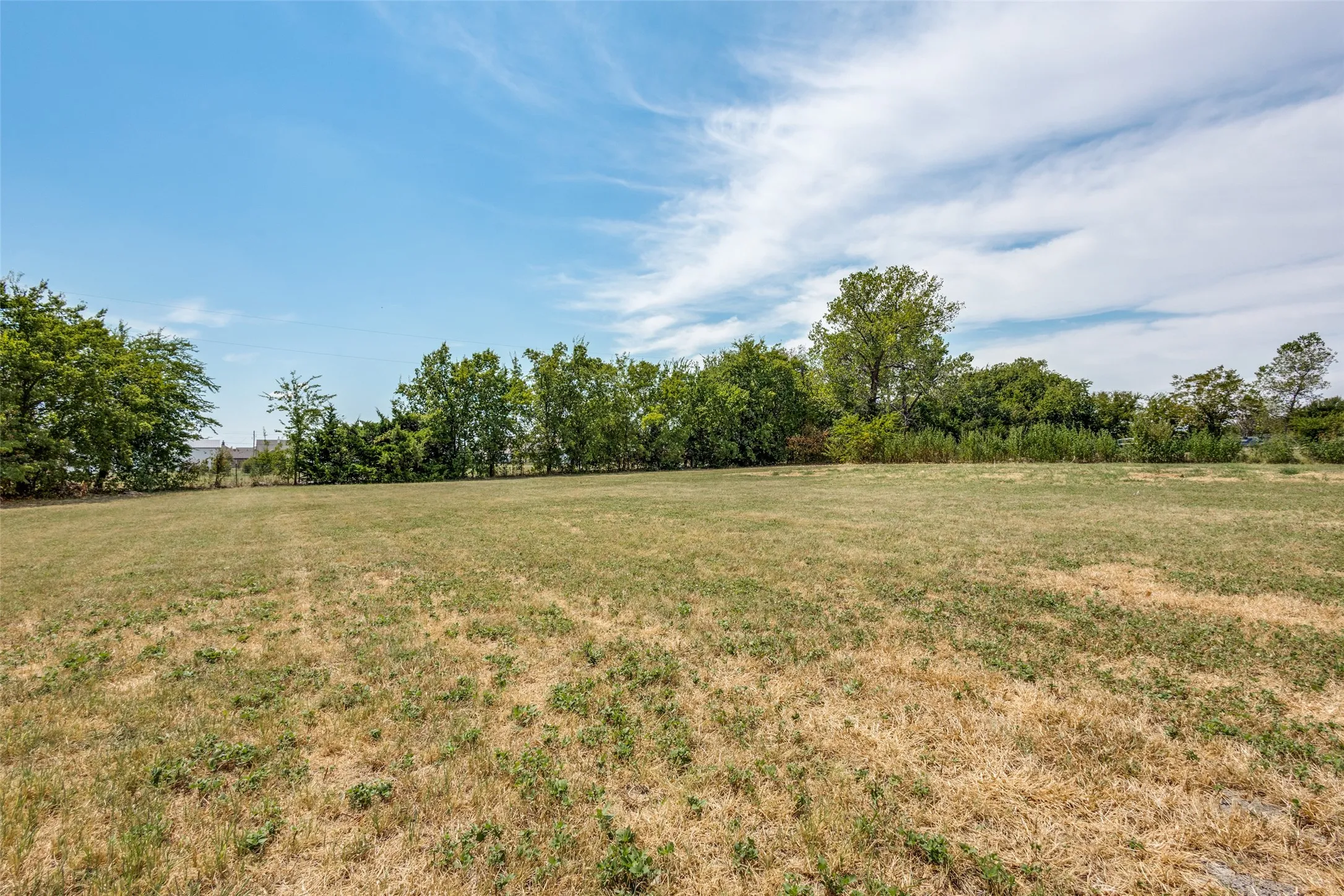 Expansive open lot featuring natural landscaping and mature trees
