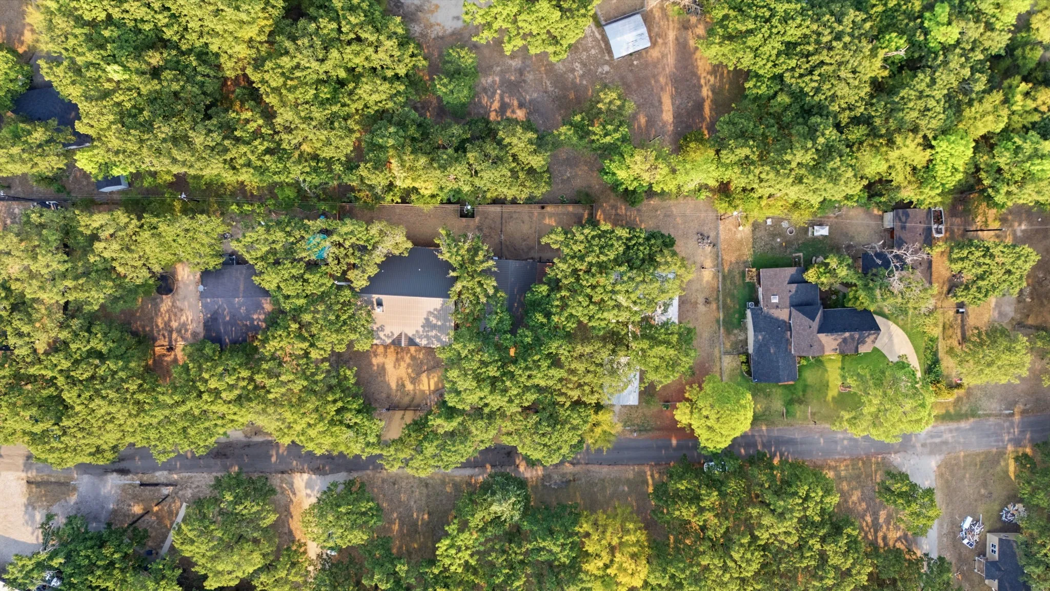 Mature tree canopy providing extensive shading