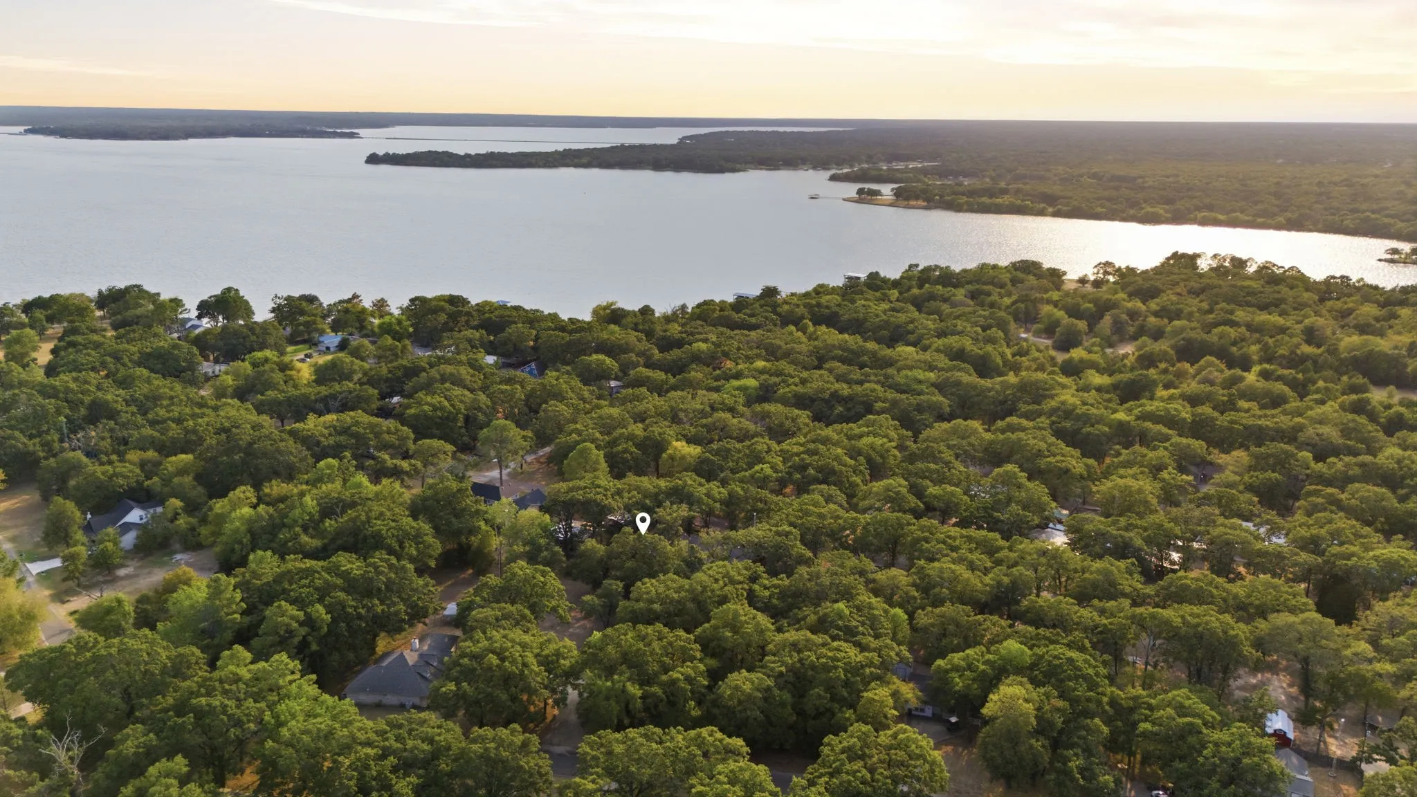 Expansive tree-covered landscape with a prominent body of water in the background