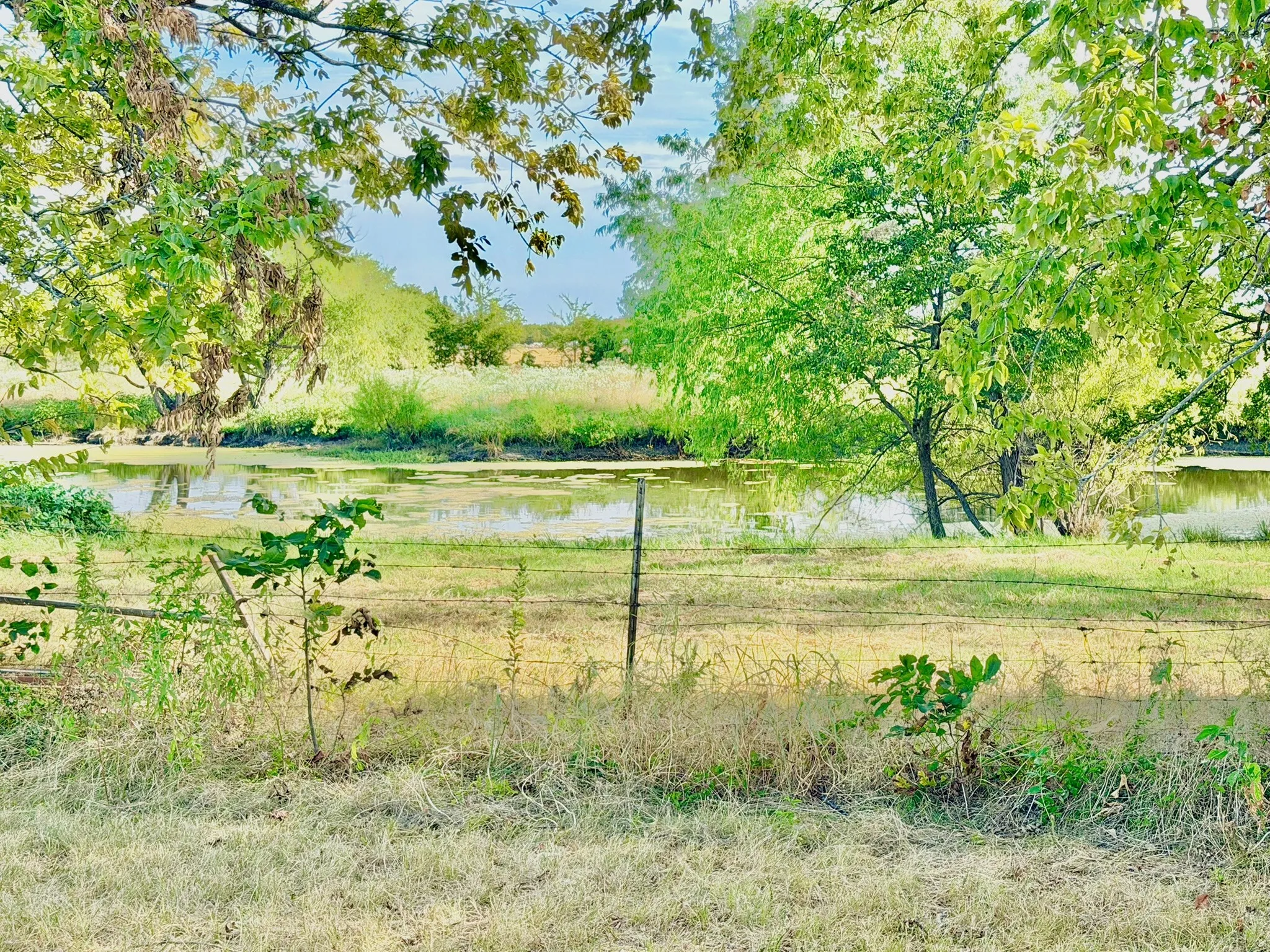 Single Family Residence For Rent in Grayson County , 26272 State Highway 56, Whitesboro, Texas 76273, 3 Bedroom, 2 Bathroom, Garage spaces, 1,435 Sqft, built in 1994, mls#21375783, Real Estate Agent in Whitesboro, Homes For Rent in Grayson county, Homes For Rent in Whitesboro, Realtor in Whitesboro Texas, Real Estate Brokerage Independent Realty Texas, Luminita Cordes Realtor