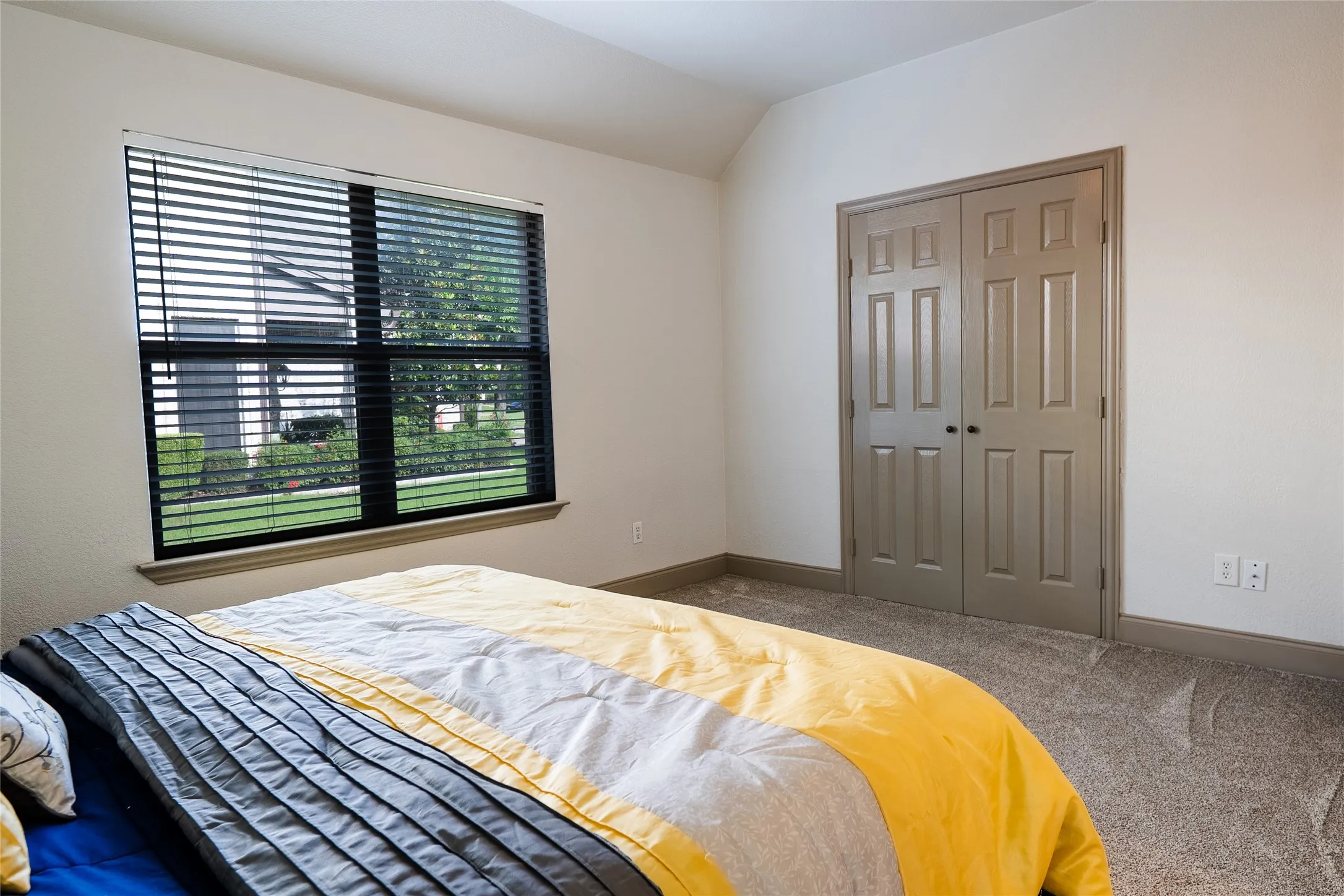 Neutral tone carpeting, a double window with blinds, and panel doors