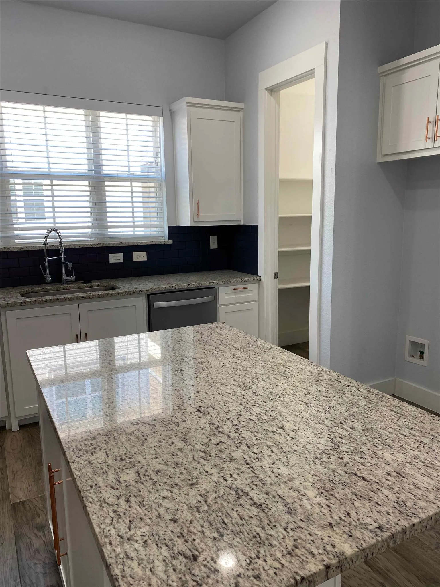 Kitchen featuring white cabinets, light stone countertops, dark wood-type flooring, and dishwasher