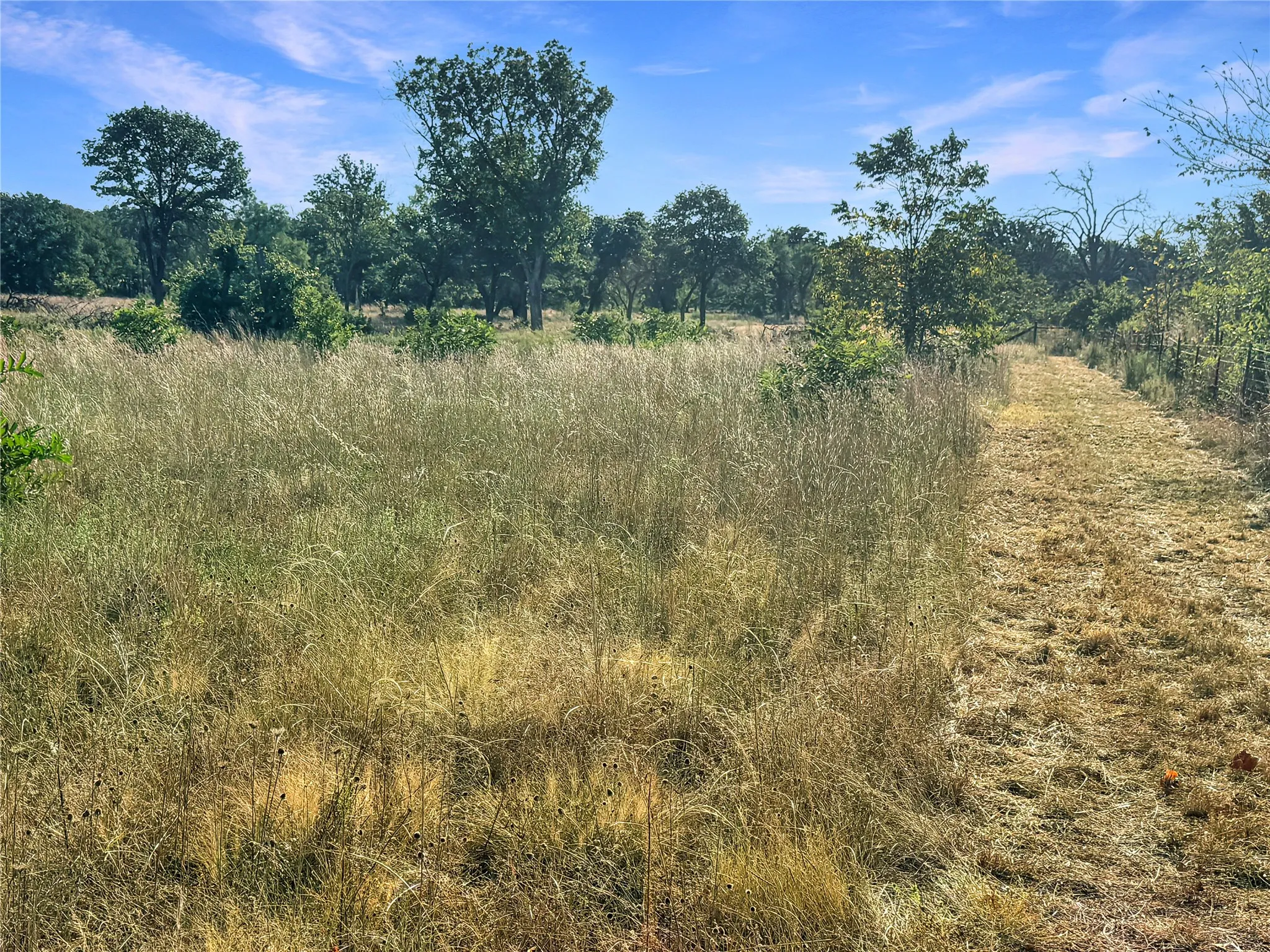 Farm For Sale in Eastland County , 9173 Highway 6, Cisco, Texas 76437, 5 Bedroom, 3 Bathroom, Garage spaces, 2,838 Sqft, built in 1970, mls#21375804, Real Estate Agent in Cisco, Homes For Sale in Eastland county, Homes For Sale in Cisco, Realtor in Cisco Texas, Real Estate Brokerage Independent Realty Texas, Luminita Cordes Realtor