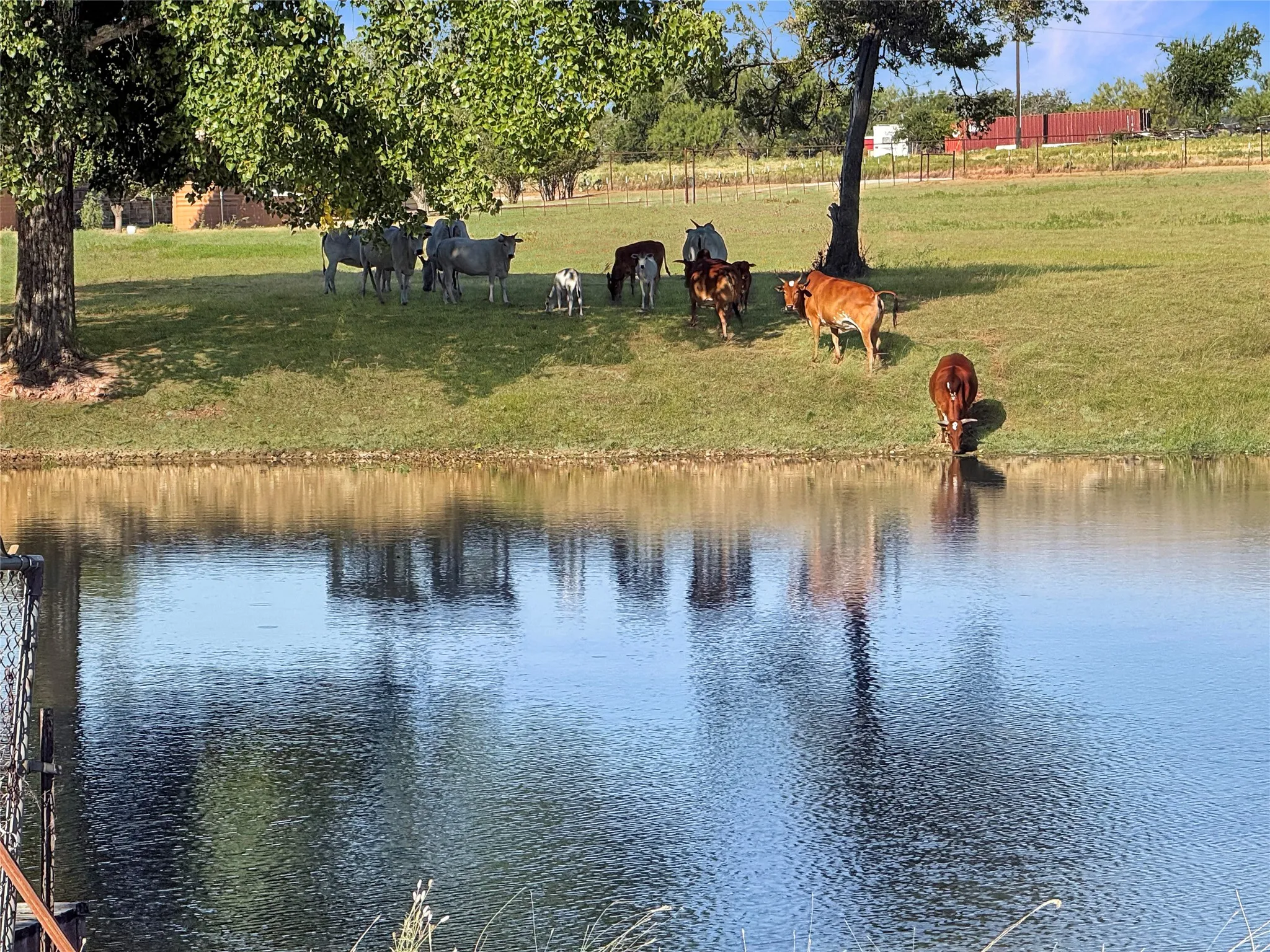 Farm For Sale in Eastland County , 9173 Highway 6, Cisco, Texas 76437, 5 Bedroom, 3 Bathroom, Garage spaces, 2,838 Sqft, built in 1970, mls#21375804, Real Estate Agent in Cisco, Homes For Sale in Eastland county, Homes For Sale in Cisco, Realtor in Cisco Texas, Real Estate Brokerage Independent Realty Texas, Luminita Cordes Realtor