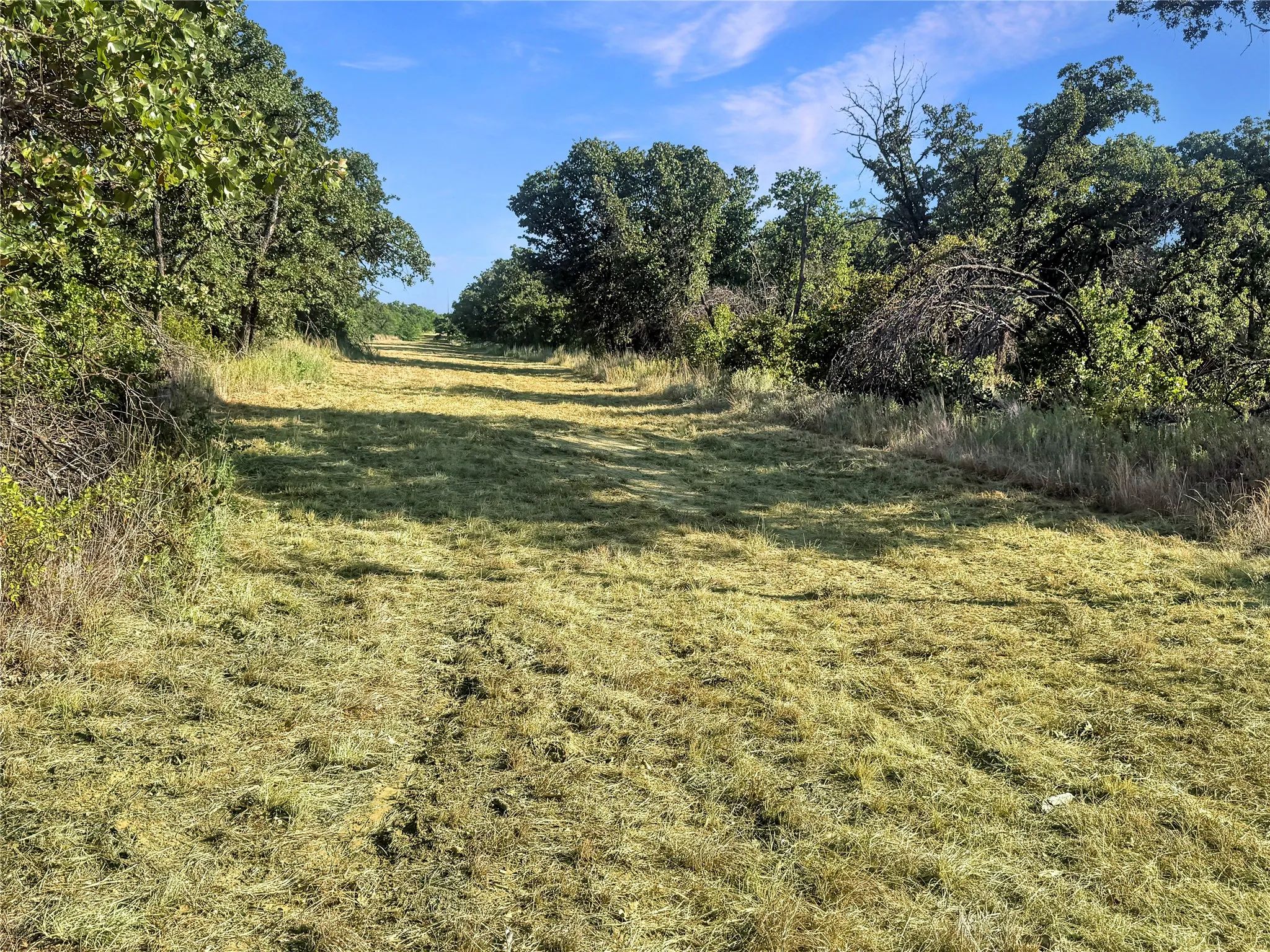 Farm For Sale in Eastland County , 9173 Highway 6, Cisco, Texas 76437, 5 Bedroom, 3 Bathroom, Garage spaces, 2,838 Sqft, built in 1970, mls#21375804, Real Estate Agent in Cisco, Homes For Sale in Eastland county, Homes For Sale in Cisco, Realtor in Cisco Texas, Real Estate Brokerage Independent Realty Texas, Luminita Cordes Realtor