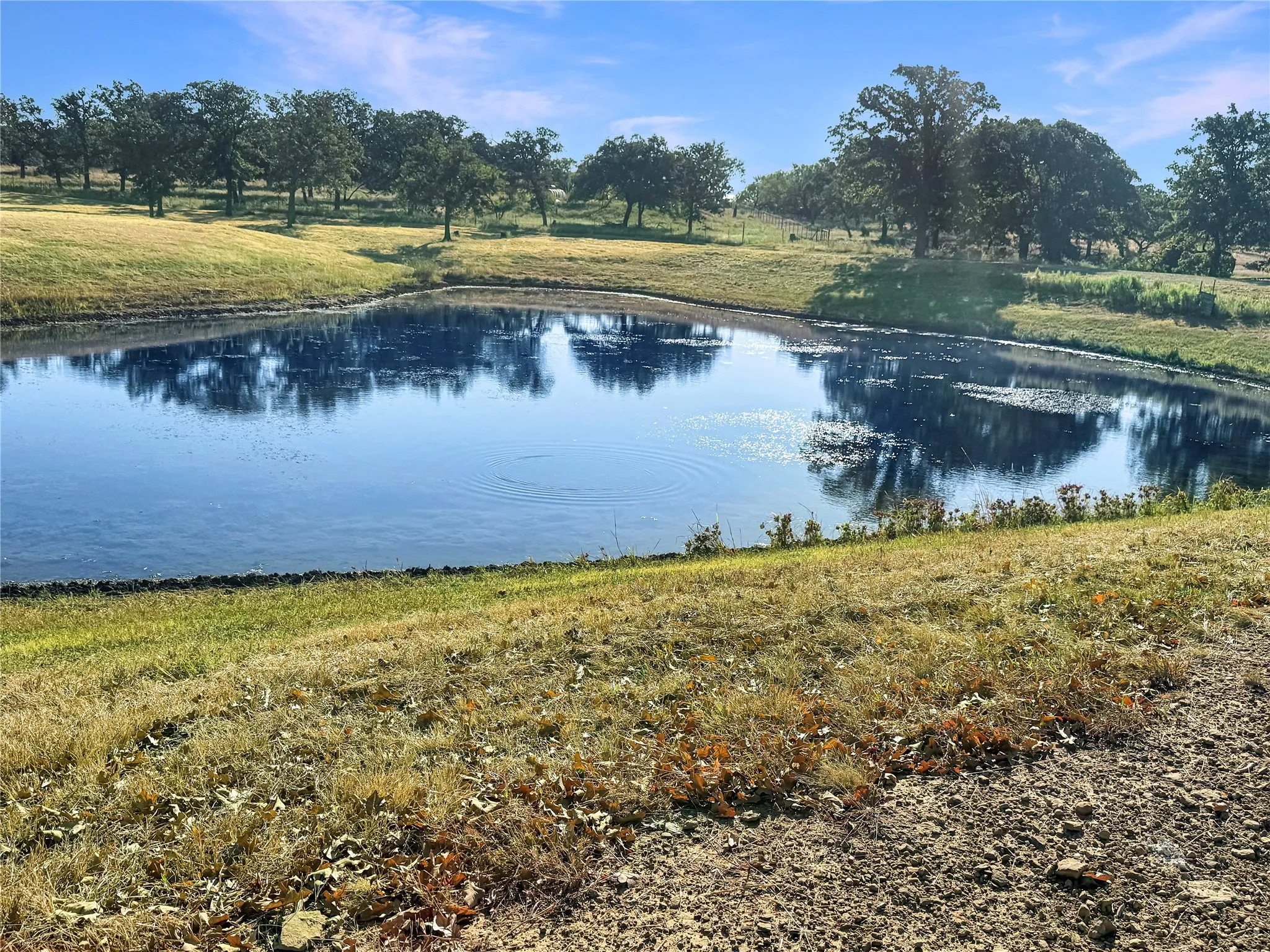 Farm For Sale in Eastland County , 9173 Highway 6, Cisco, Texas 76437, 5 Bedroom, 3 Bathroom, Garage spaces, 2,838 Sqft, built in 1970, mls#21375804, Real Estate Agent in Cisco, Homes For Sale in Eastland county, Homes For Sale in Cisco, Realtor in Cisco Texas, Real Estate Brokerage Independent Realty Texas, Luminita Cordes Realtor