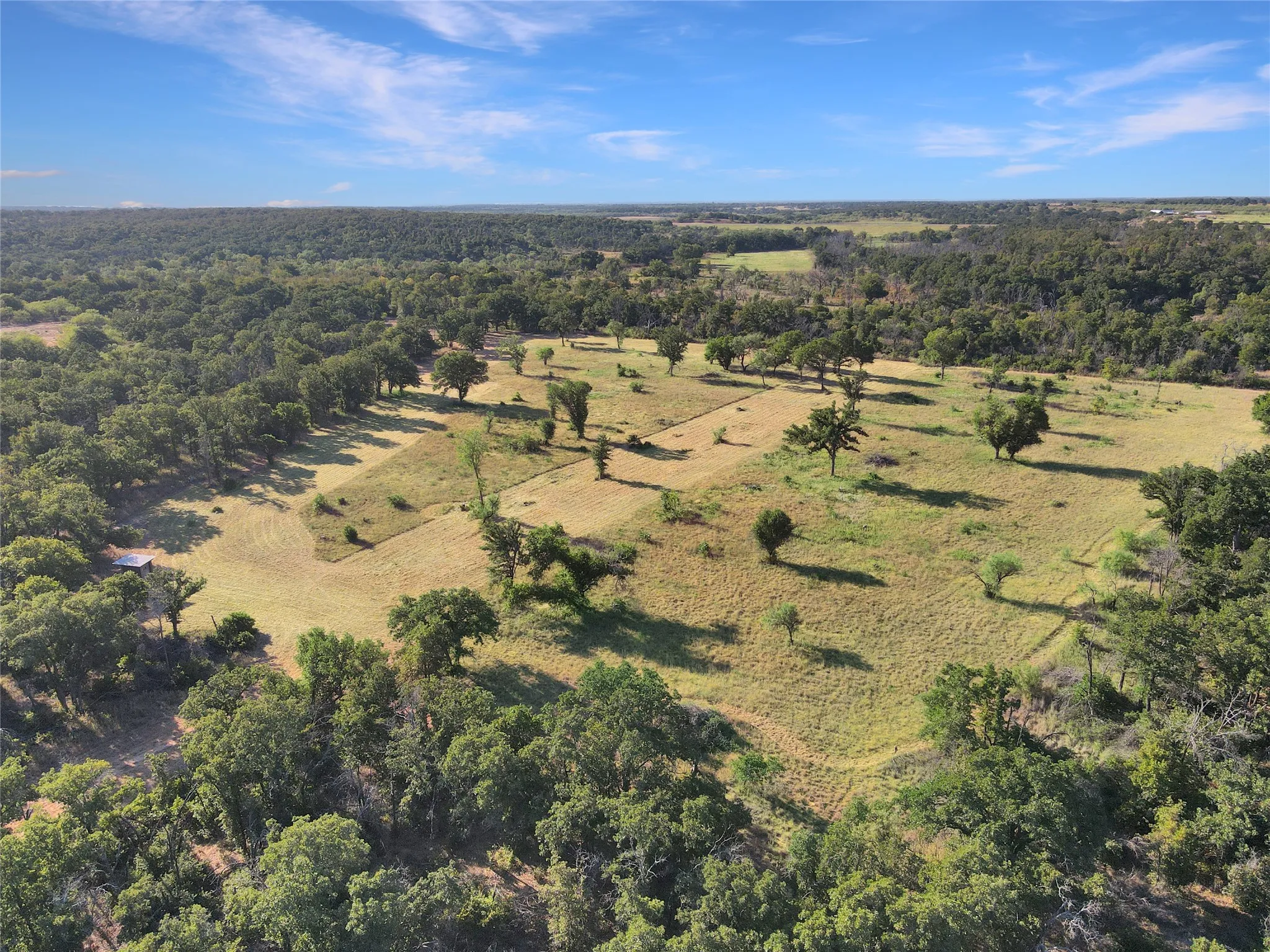 Farm For Sale in Eastland County , 9173 Highway 6, Cisco, Texas 76437, 5 Bedroom, 3 Bathroom, Garage spaces, 2,838 Sqft, built in 1970, mls#21375804, Real Estate Agent in Cisco, Homes For Sale in Eastland county, Homes For Sale in Cisco, Realtor in Cisco Texas, Real Estate Brokerage Independent Realty Texas, Luminita Cordes Realtor