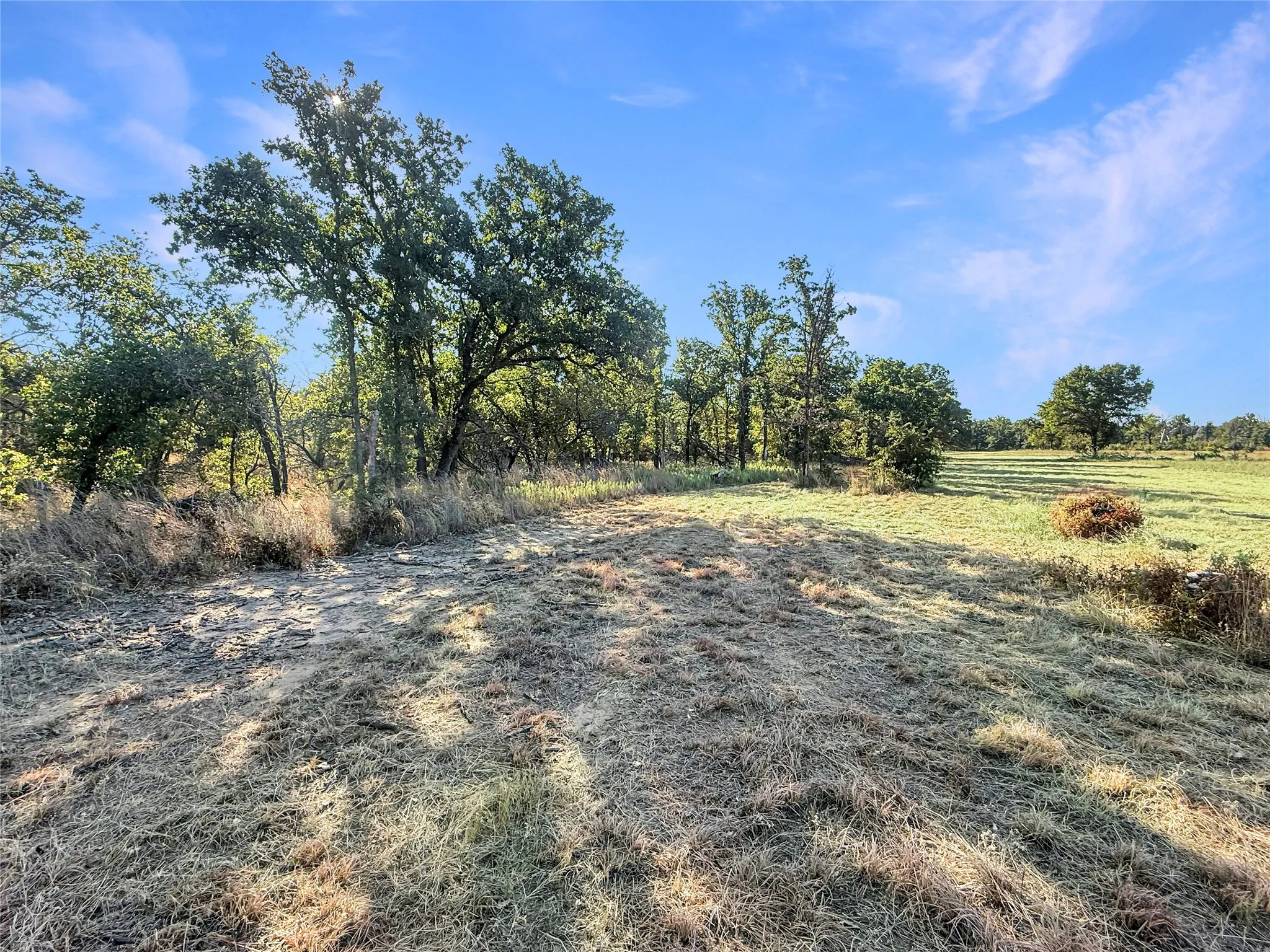 Farm For Sale in Eastland County , 9173 Highway 6, Cisco, Texas 76437, 5 Bedroom, 3 Bathroom, Garage spaces, 2,838 Sqft, built in 1970, mls#21375804, Real Estate Agent in Cisco, Homes For Sale in Eastland county, Homes For Sale in Cisco, Realtor in Cisco Texas, Real Estate Brokerage Independent Realty Texas, Luminita Cordes Realtor