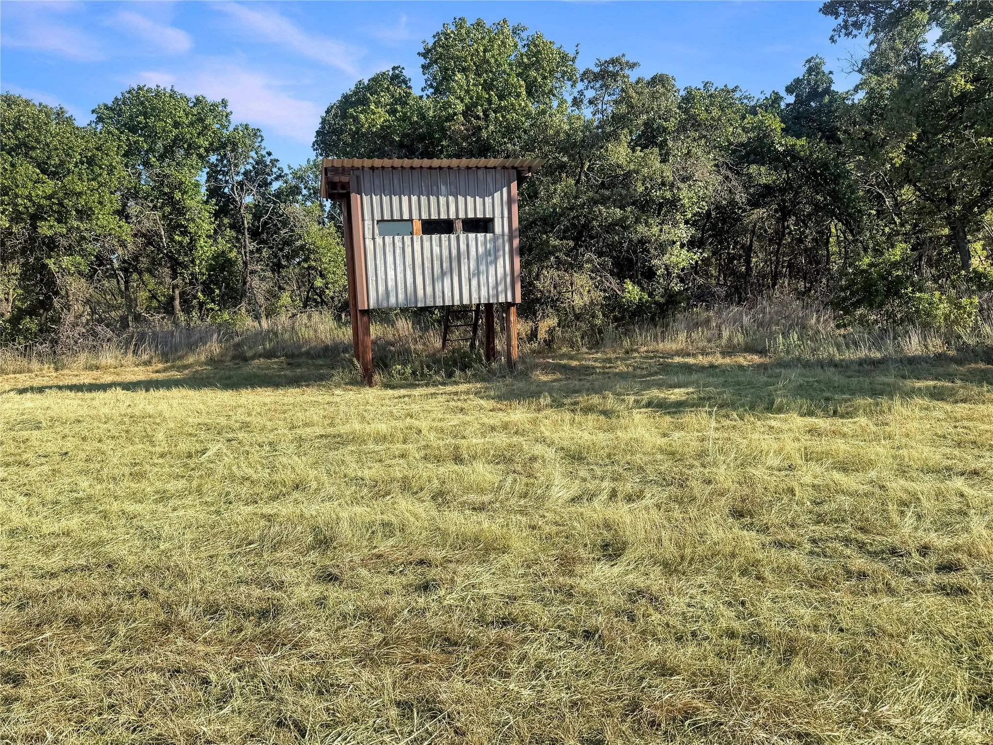 Farm For Sale in Eastland County , 9173 Highway 6, Cisco, Texas 76437, 5 Bedroom, 3 Bathroom, Garage spaces, 2,838 Sqft, built in 1970, mls#21375804, Real Estate Agent in Cisco, Homes For Sale in Eastland county, Homes For Sale in Cisco, Realtor in Cisco Texas, Real Estate Brokerage Independent Realty Texas, Luminita Cordes Realtor