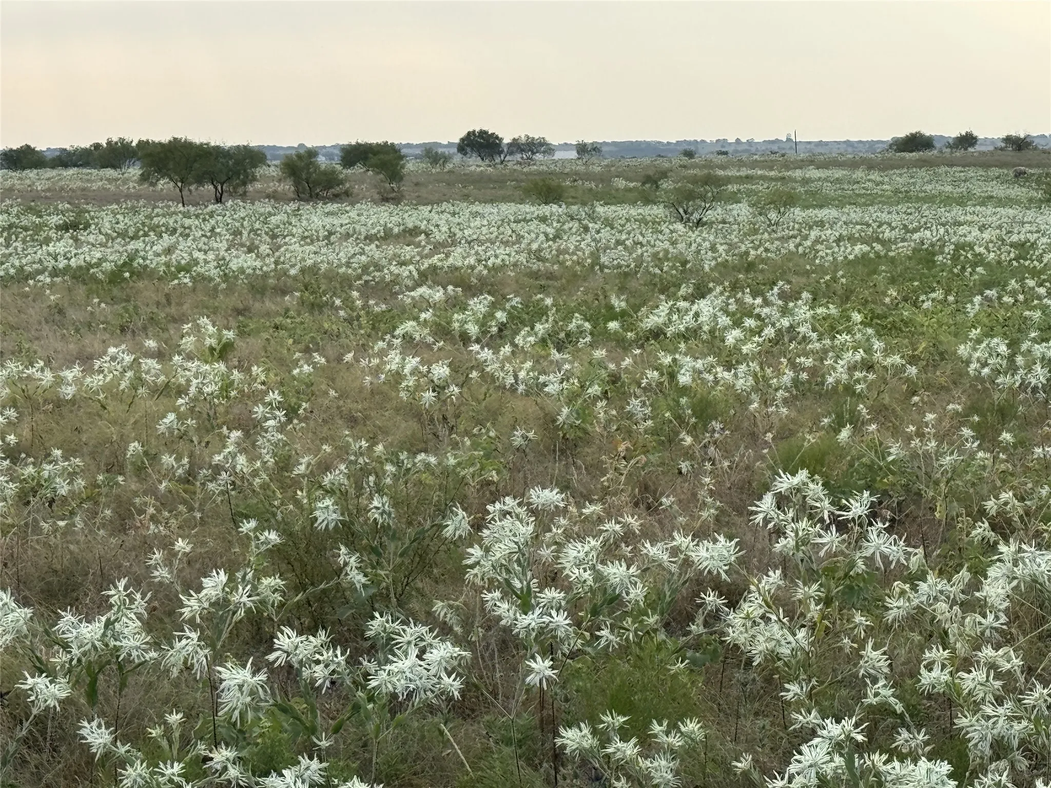 Unimproved Land For Sale in Wise County , 237 Private Road 4512, Decatur, Texas 76234, 0, 0, Garage spaces, 0 Sqft, built in 0, mls#21375806, Real Estate Agent in Decatur, Homes For Sale in Wise county, Homes For Sale in Decatur, Realtor in Decatur Texas, Real Estate Brokerage Independent Realty Texas, Luminita Cordes Realtor