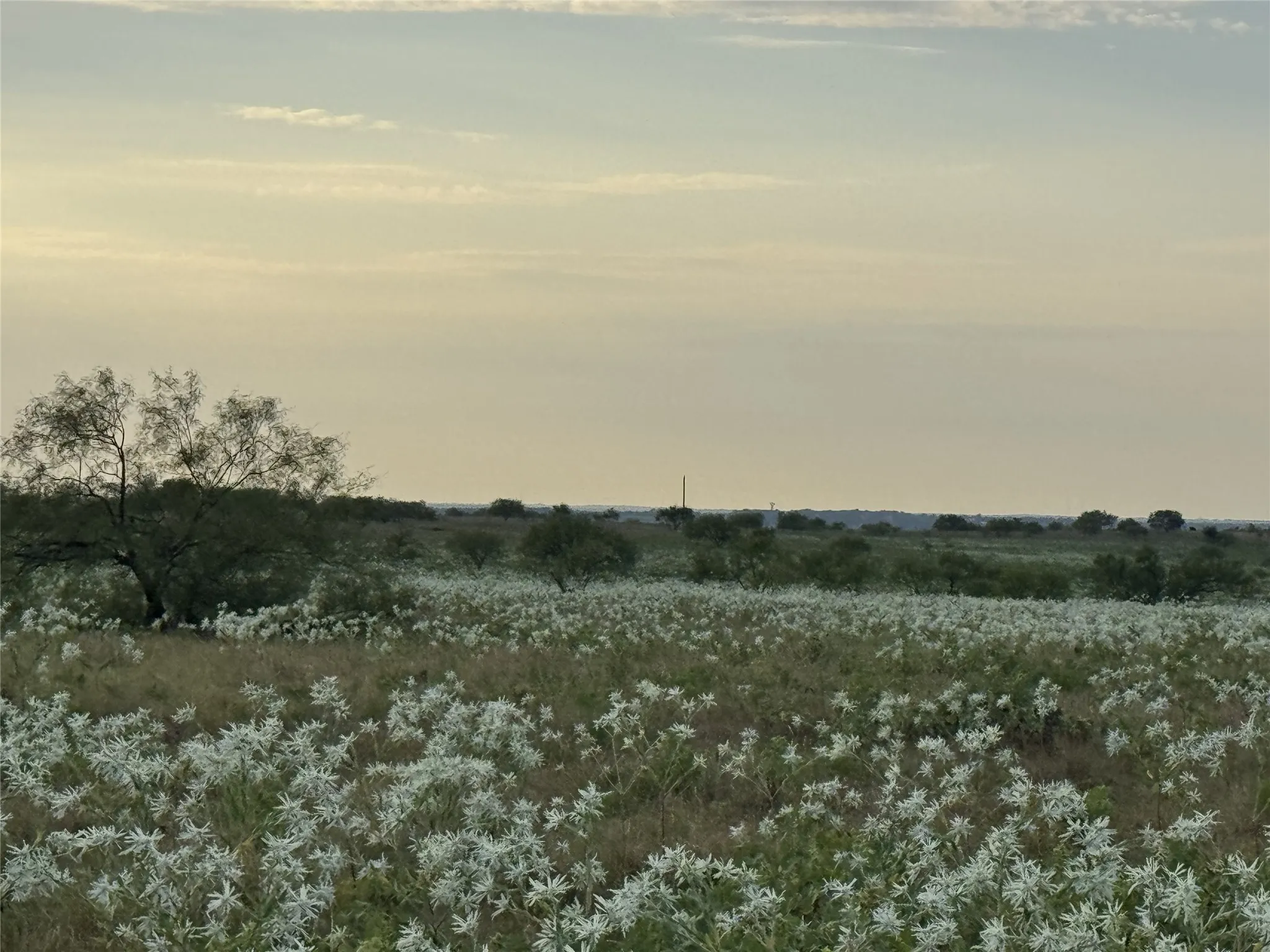 Unimproved Land For Sale in Wise County , 237 Private Road 4512, Decatur, Texas 76234, 0, 0, Garage spaces, 0 Sqft, built in 0, mls#21375806, Real Estate Agent in Decatur, Homes For Sale in Wise county, Homes For Sale in Decatur, Realtor in Decatur Texas, Real Estate Brokerage Independent Realty Texas, Luminita Cordes Realtor