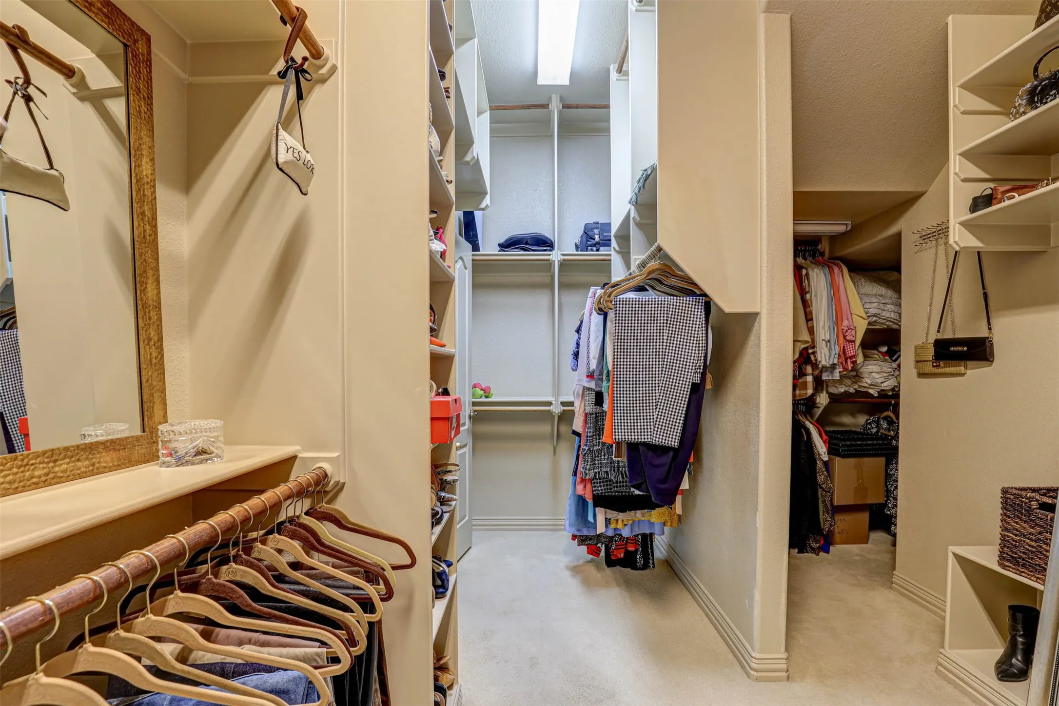 Expansive closet featuring multiple hanging rods, built-in shelving, carpet flooring, and a mirrored wall panel