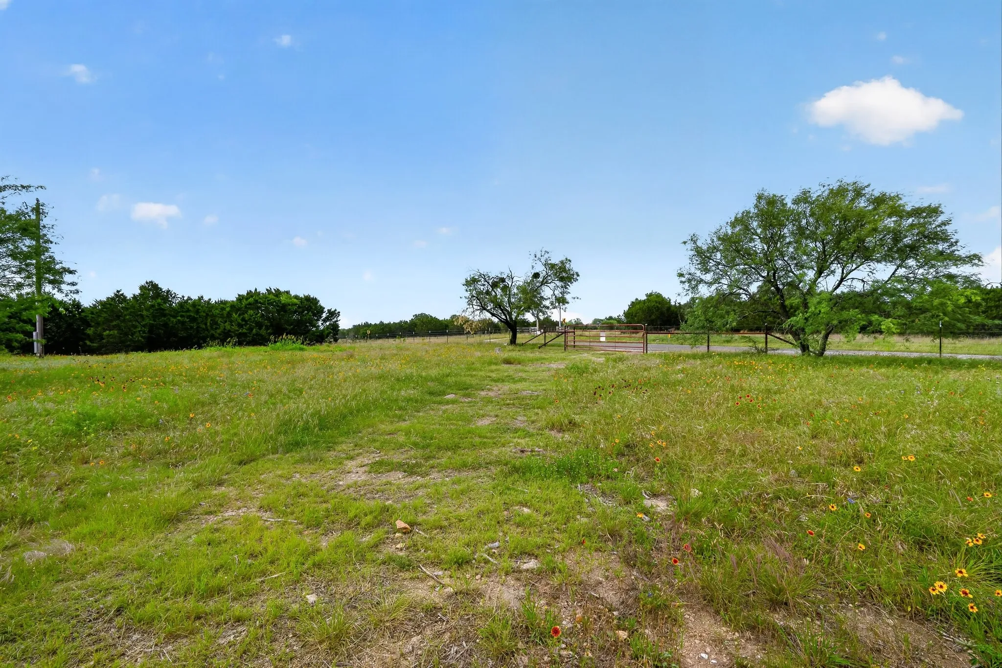 Expansive grassy lot featuring a perimeter fence, mature trees, and a distant gate