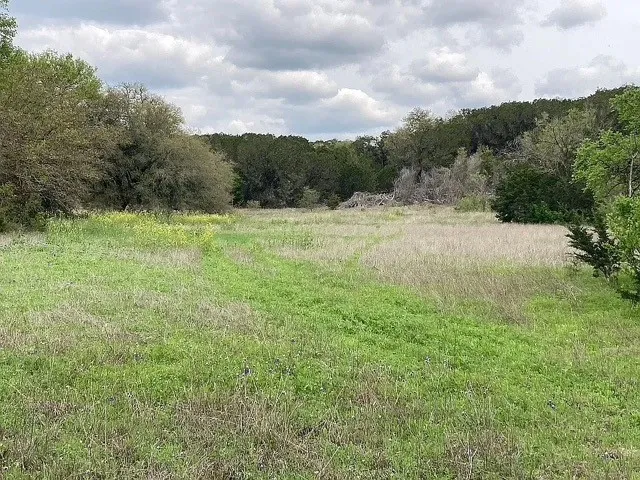 Expansive open field with natural grass and varied foliage