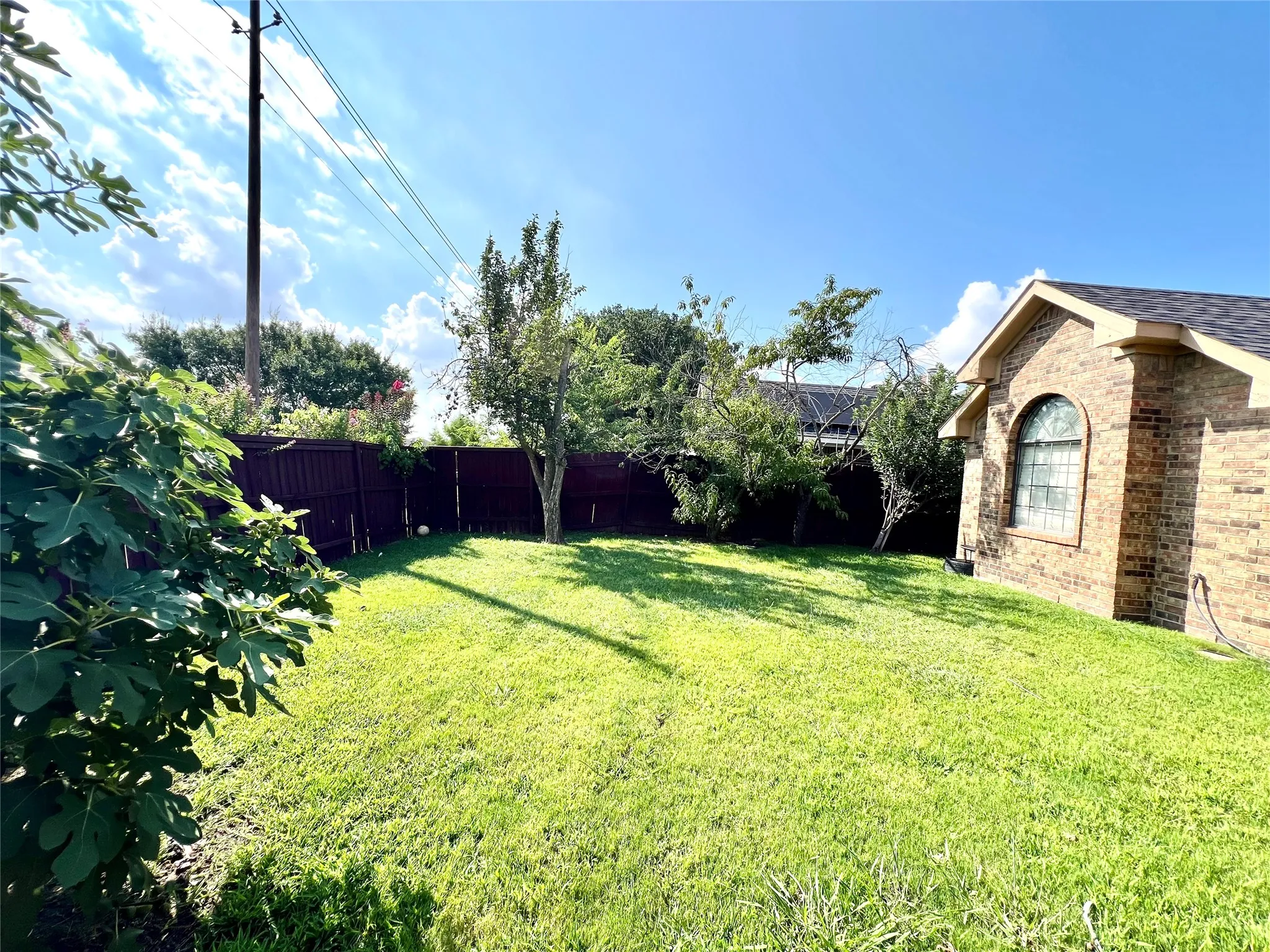 View of fenced backyard