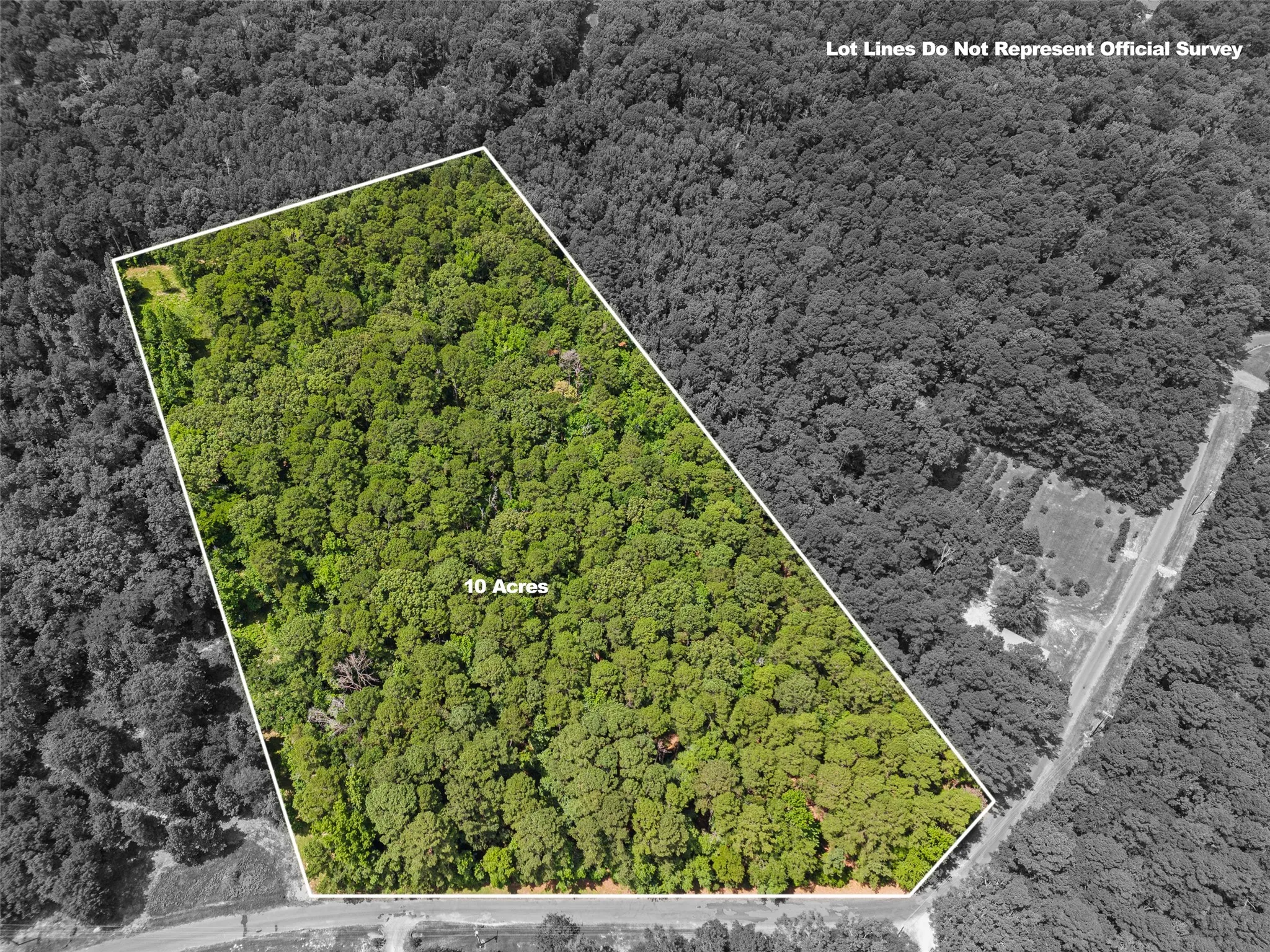 10-acre wooded parcel, featuring an abundance of mature trees and distinct property lines
